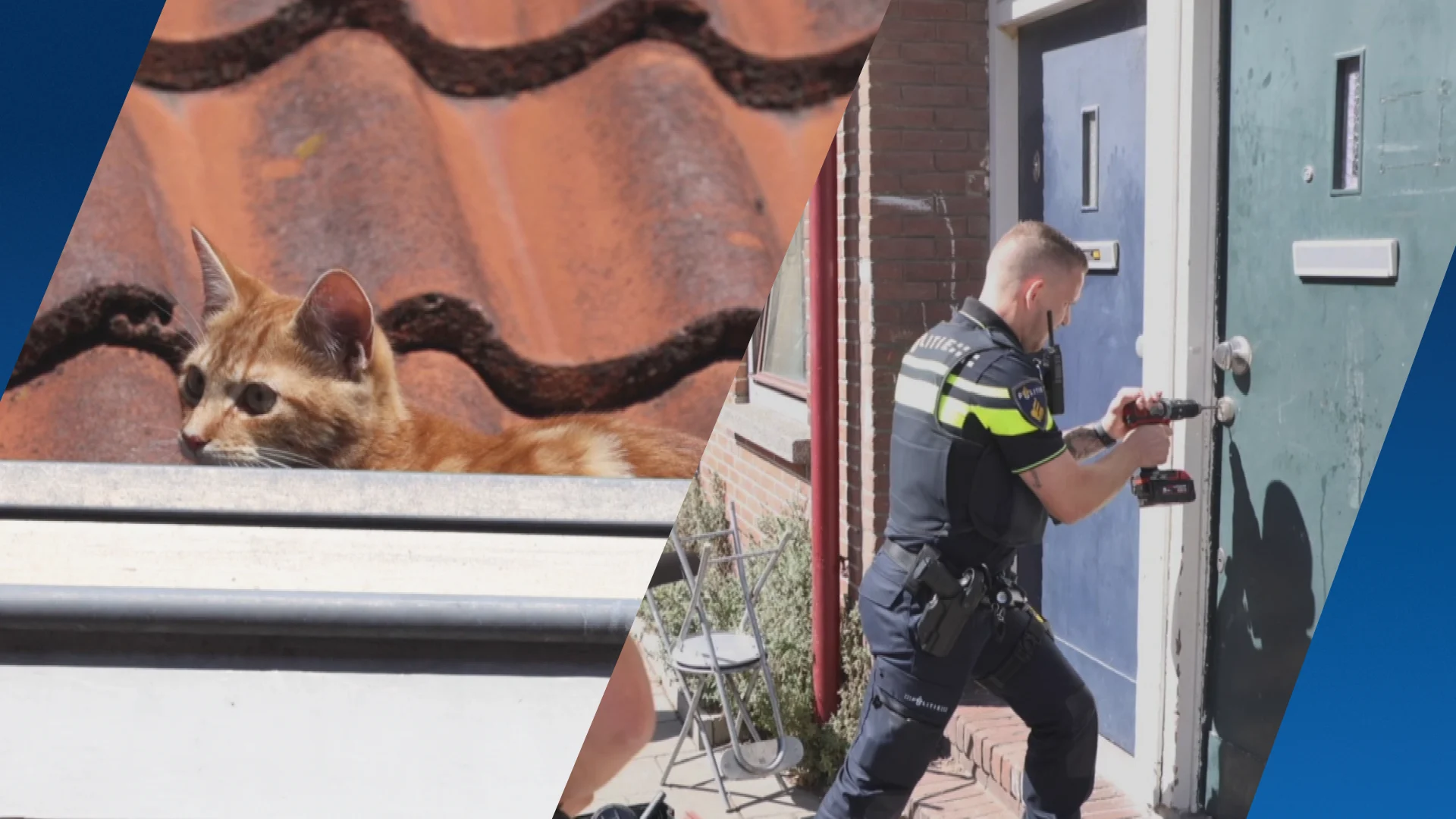 Brandweer haalt kat uit dakgoot en andere katten uit vervuilde woning