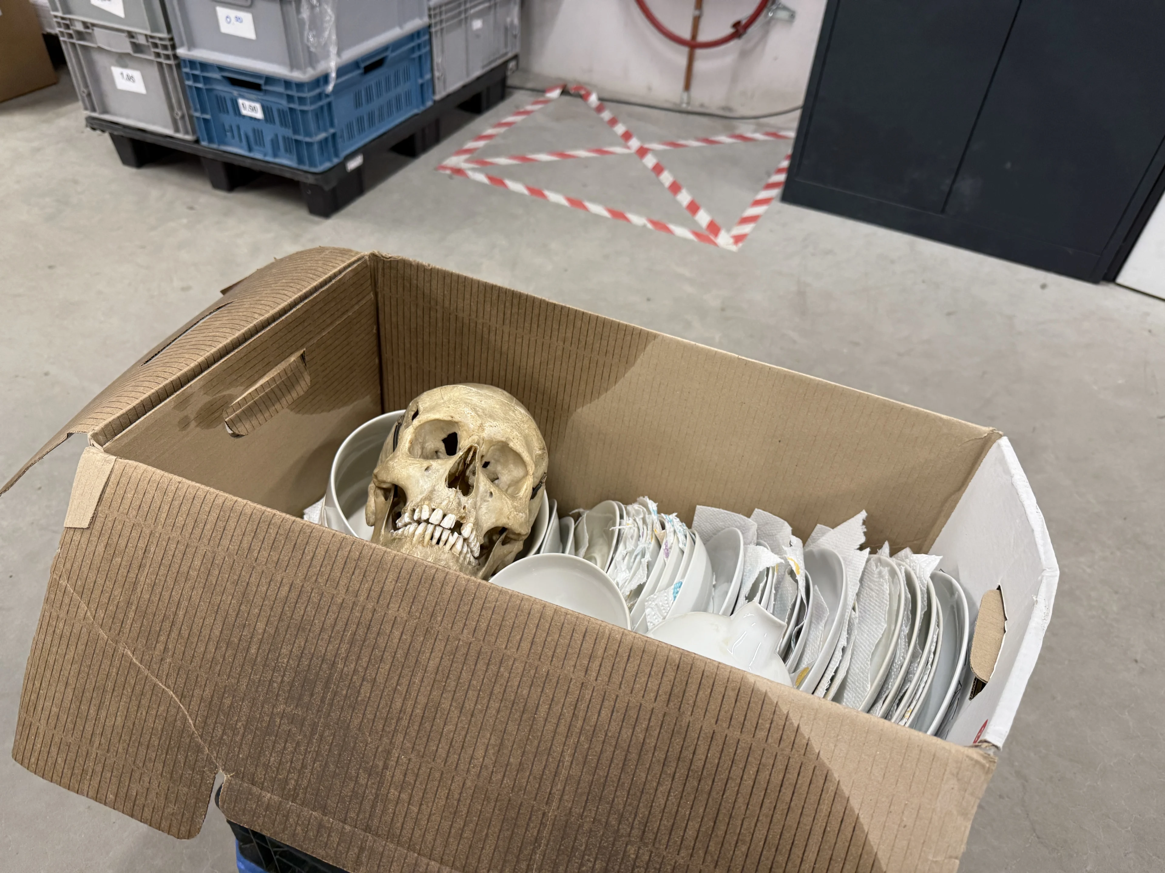 Lugubere kringloopvondst: medewerker vindt menselijke schedel in doos serviesgoed