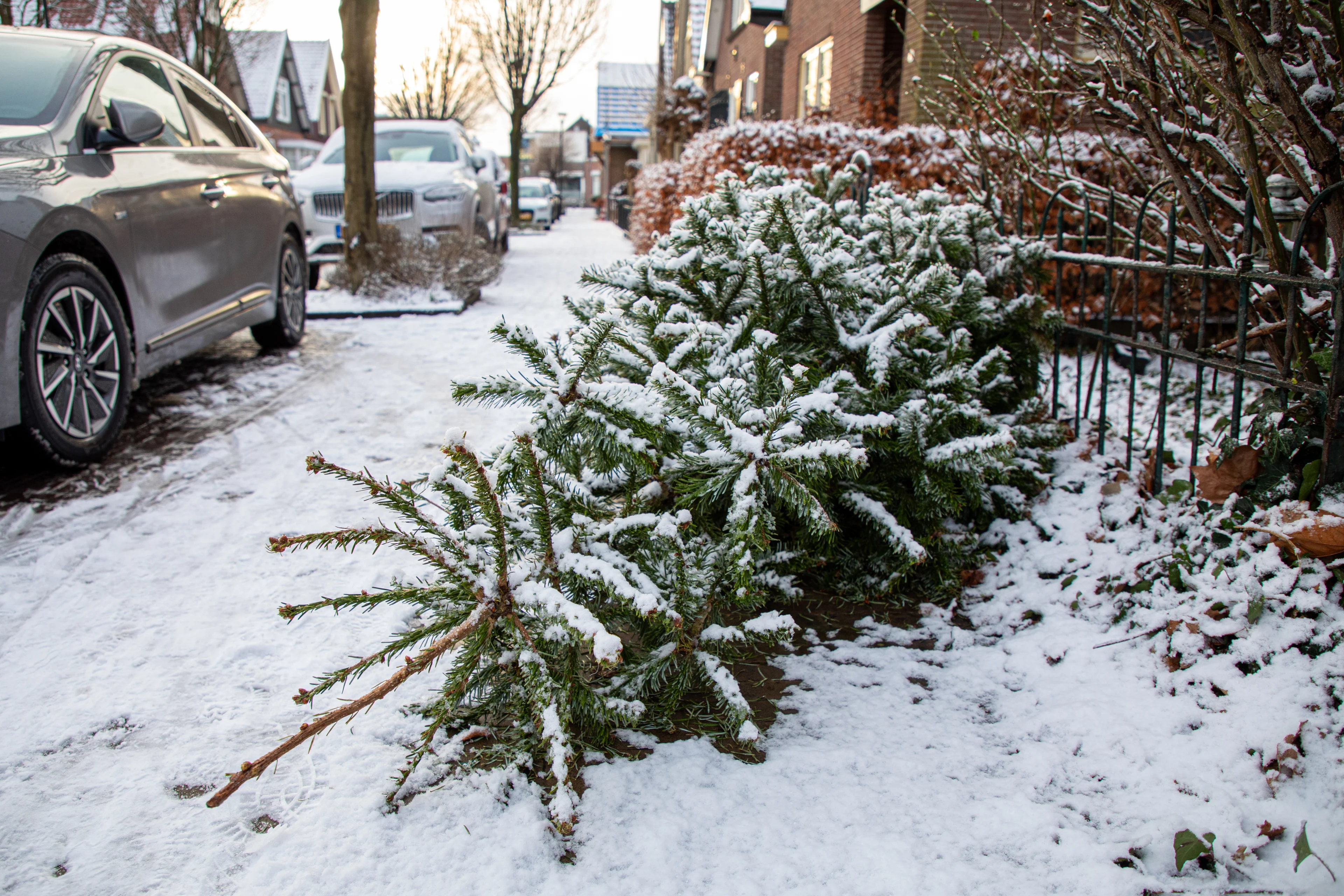 Dreaming of a white Christmas? Droom dan maar verder