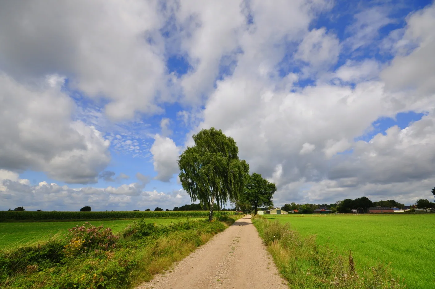 De nieuwe week is begonnen: droger, zonniger, maar ook frisser