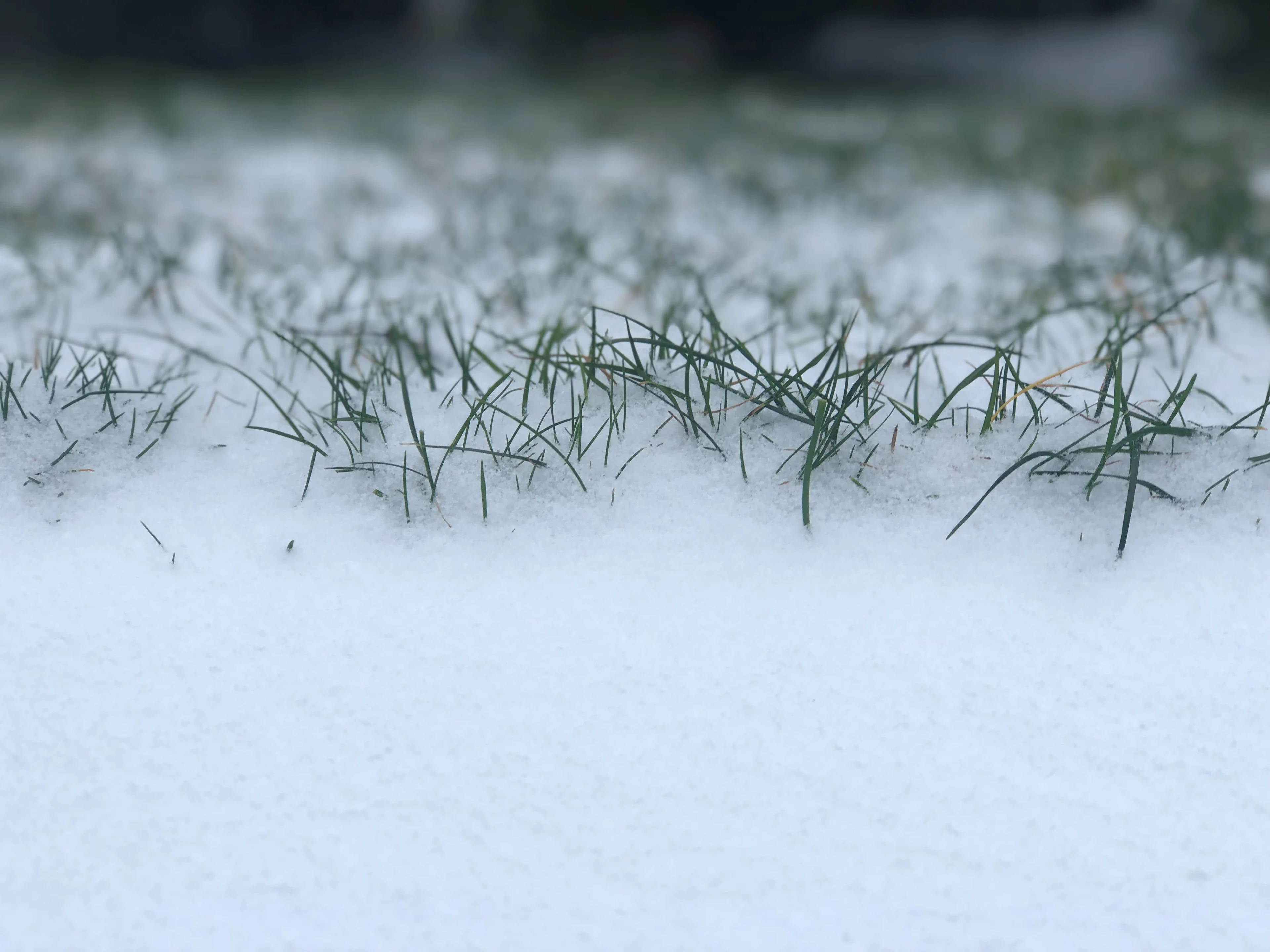 Centimeters sneeuw verwacht vandaag, code geel van kracht vanwege gladheid