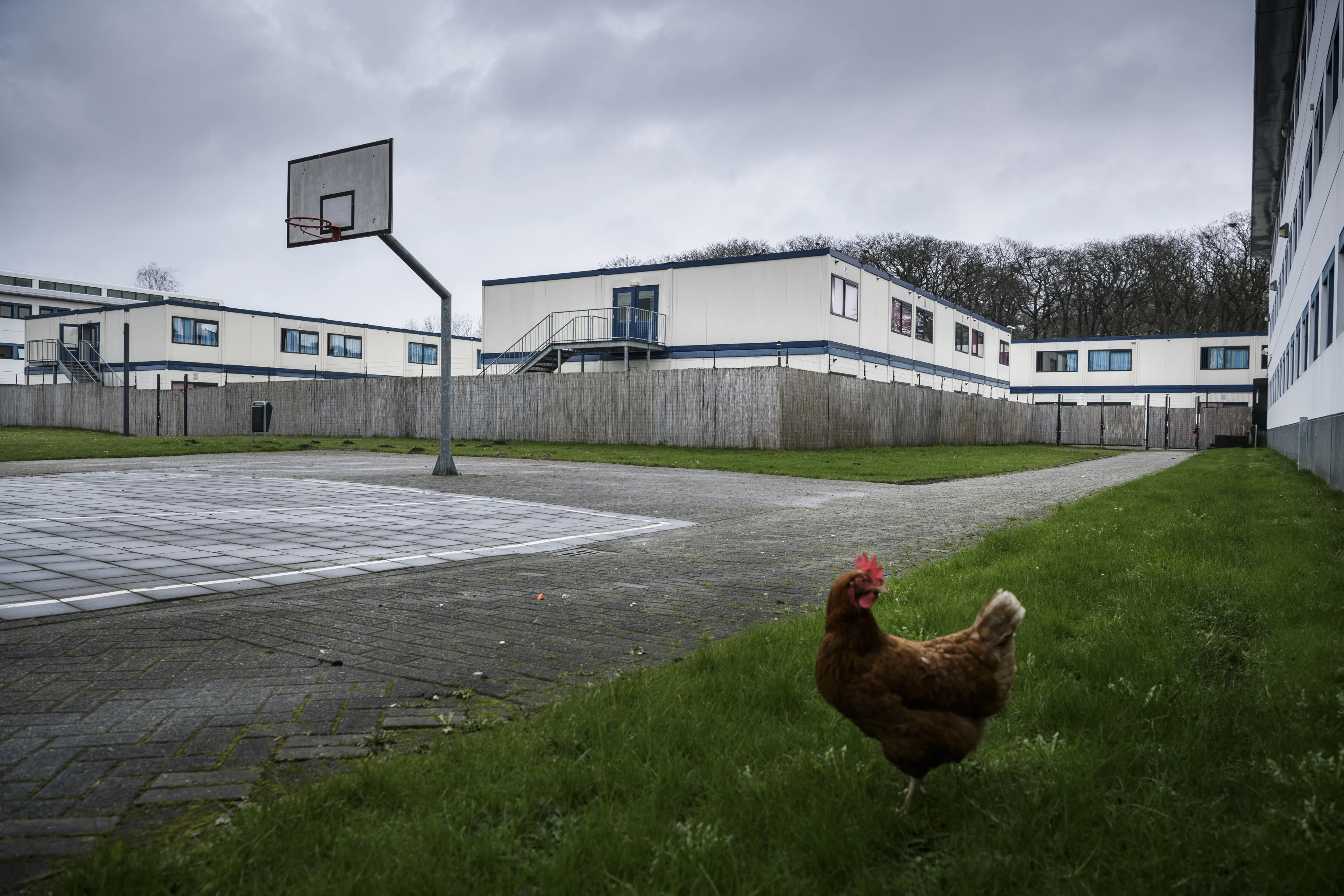 Medewerkers speciale asiellocatie gebruiken geweld terwijl dat niet mag