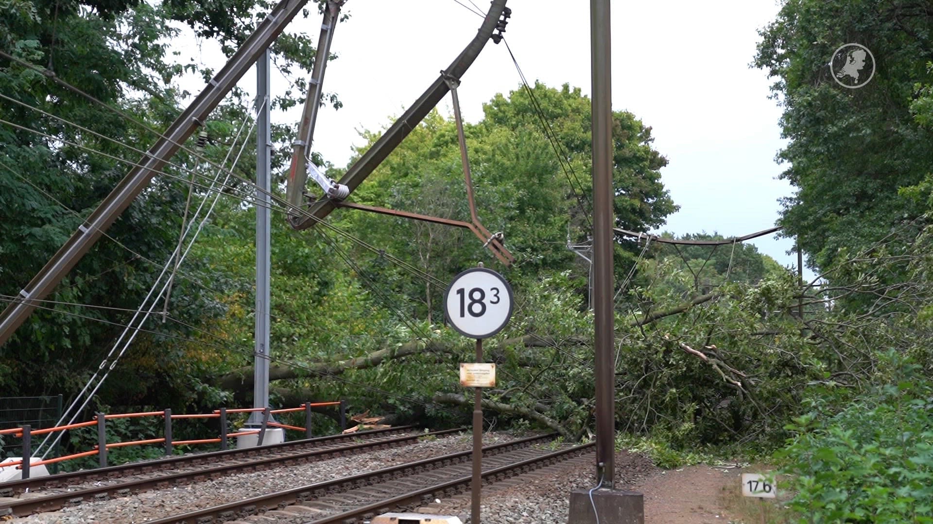 Omgevallen boom zorgt voor veel schade aan bovenleiding bij Vught