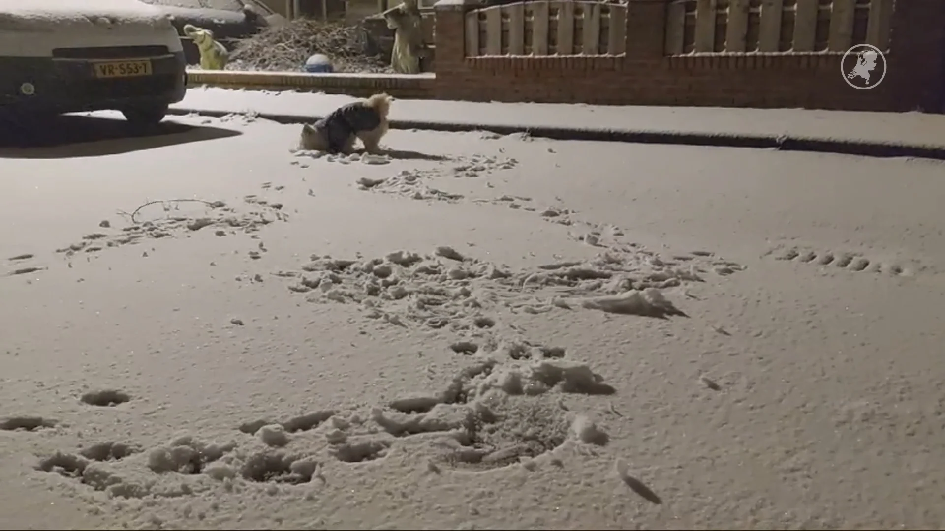 Nederland kleurt wit en dat levert prachtige plaatjes op