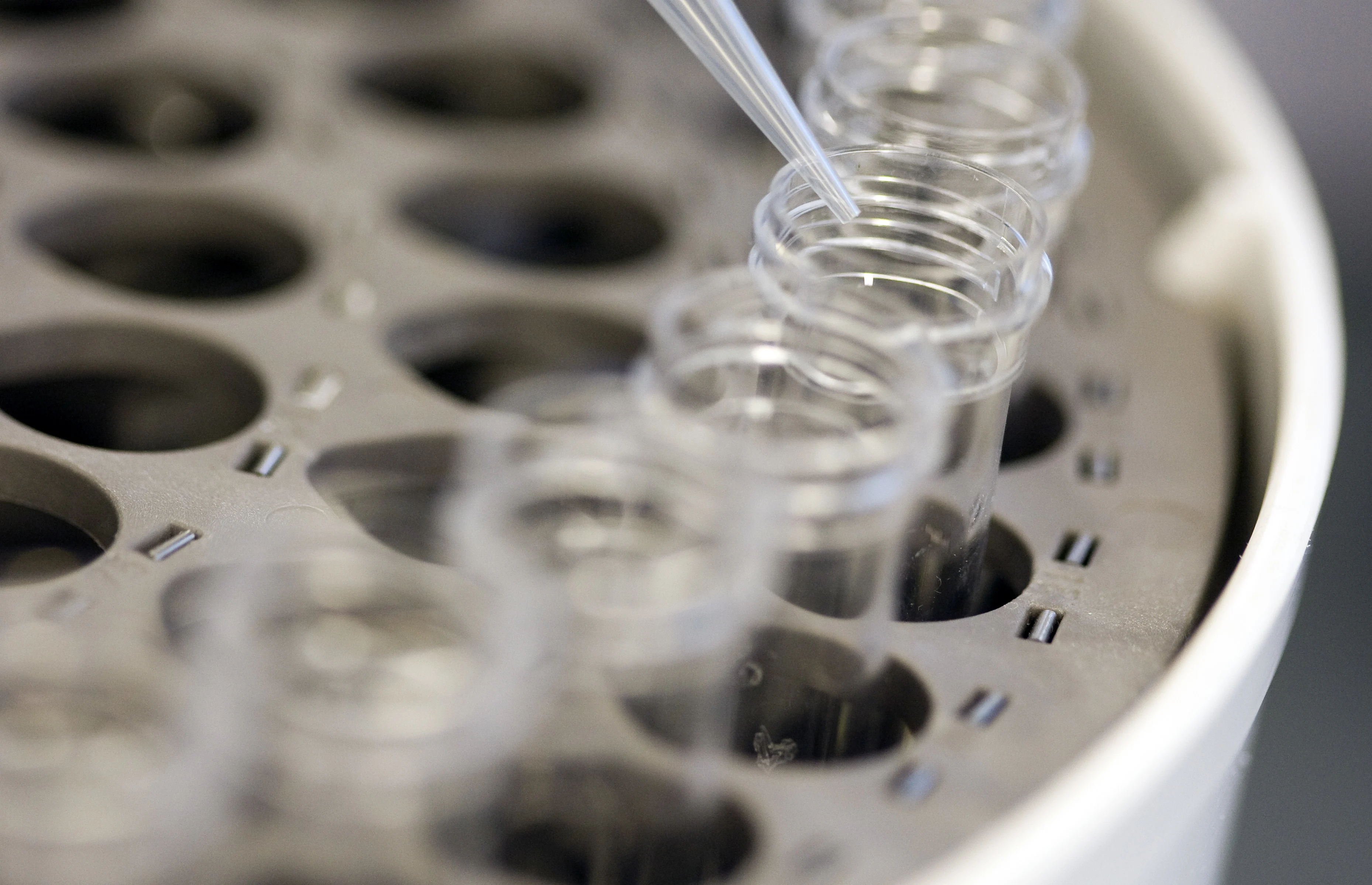 In Groningen wordt hard gewerkt aan een medicijn tegen corona