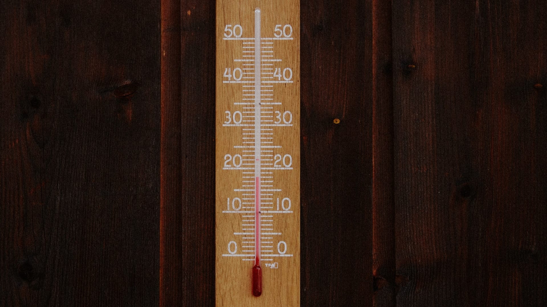 Geen koude winter, geen hete zomer: in 2021 is het weer eindelijk even normaal