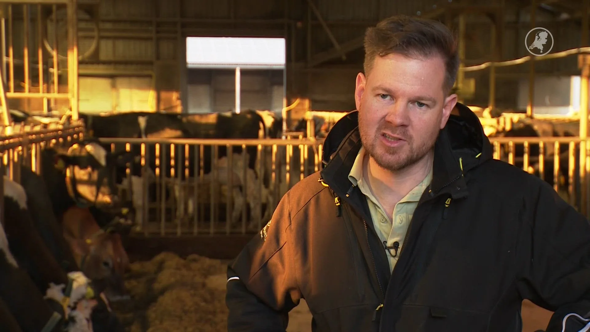 1000 kilo ambachtelijke kaas gestolen in Knegsel, kaasmaker is aangeslagen