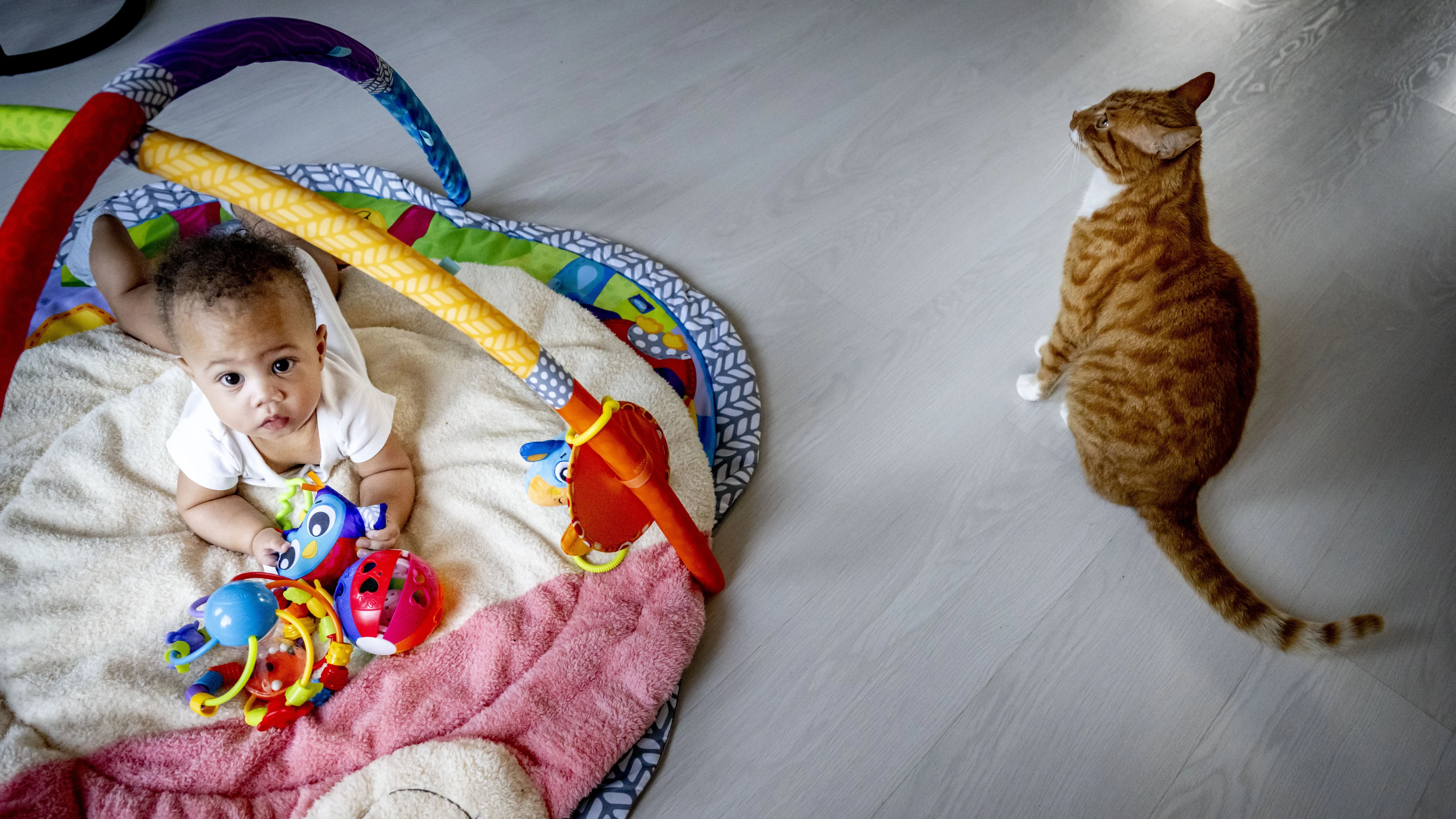 Kamer stemt in met strengere regels gastouders, ondanks gevreesde leegloop