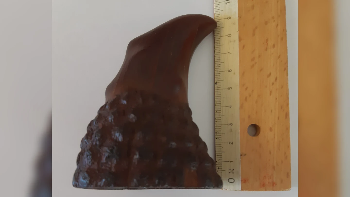 Politie treft neushoornhoorn aan bij huiszoeking Hillegom, twee verdachten aangehouden