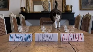 Dit wordt de winnaar van Nederland - Oostenrijk, als het aan kat Nimbus ligt