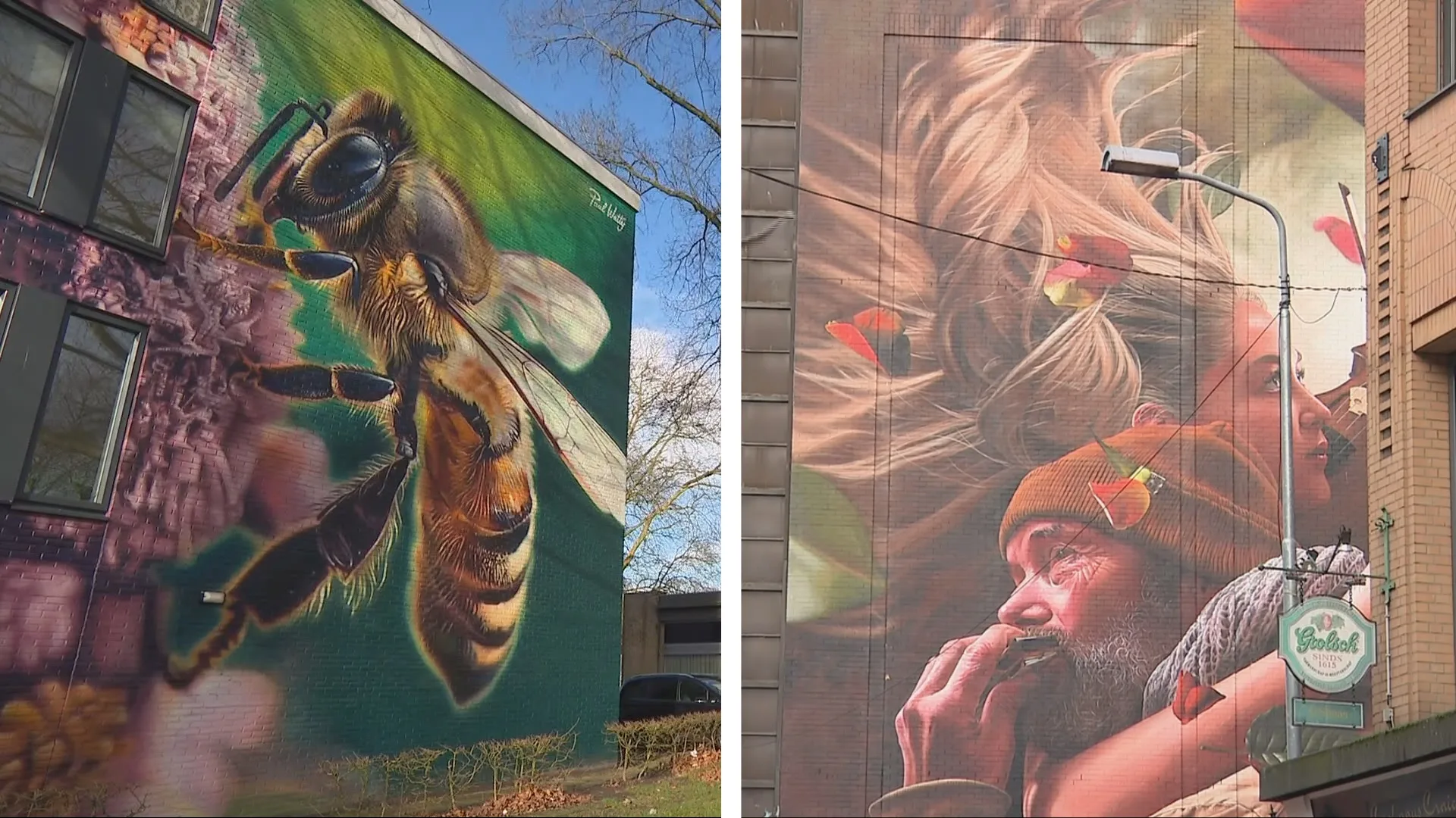 Mooiste muurschildering van de wereld mogelijk in Nederland te bewonderen