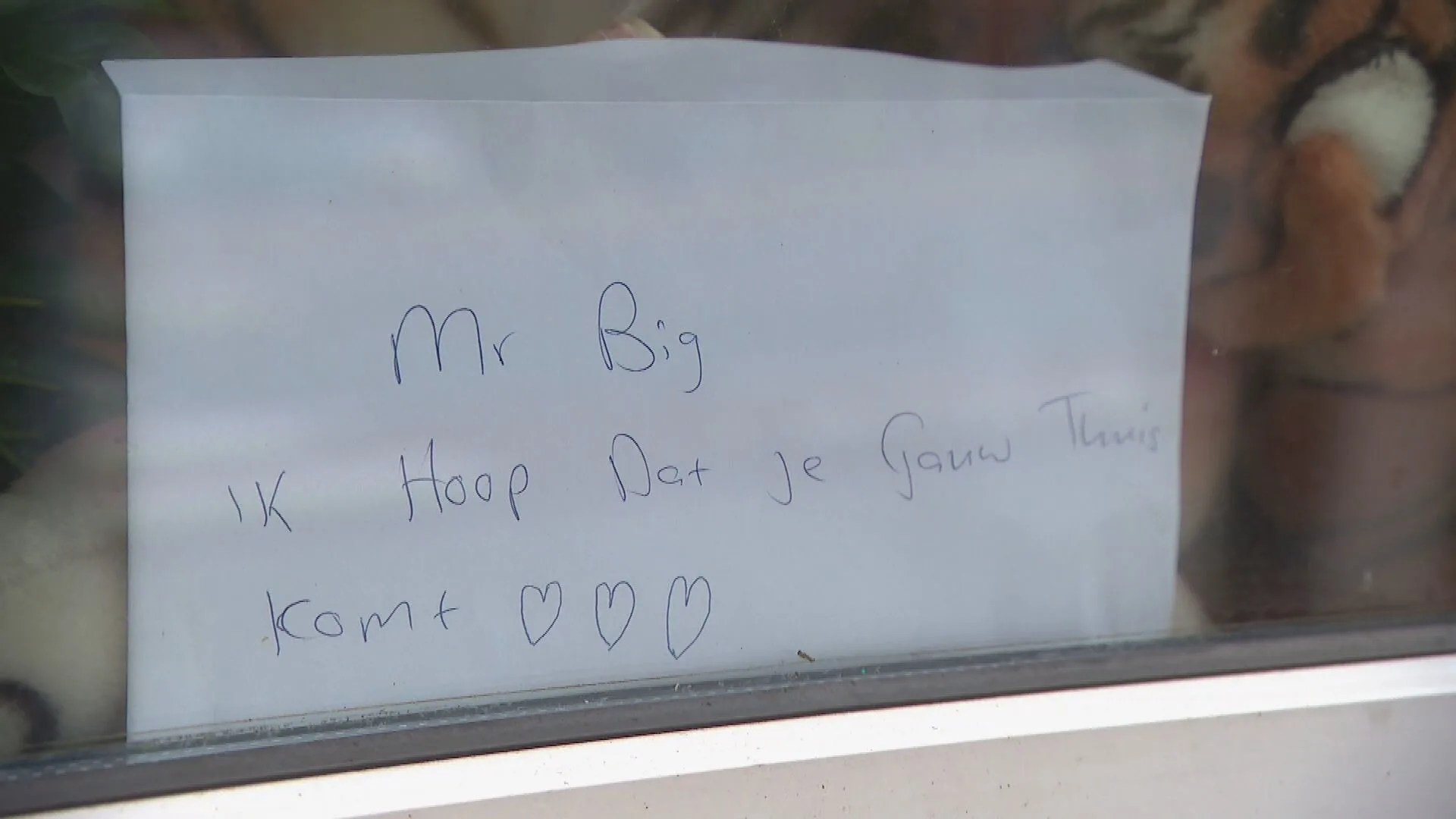 Petitie over in beslag genomen Mr. Bigg al 11.000 keer ondertekend: 'Mijn kindje zit nu in een kooi!'