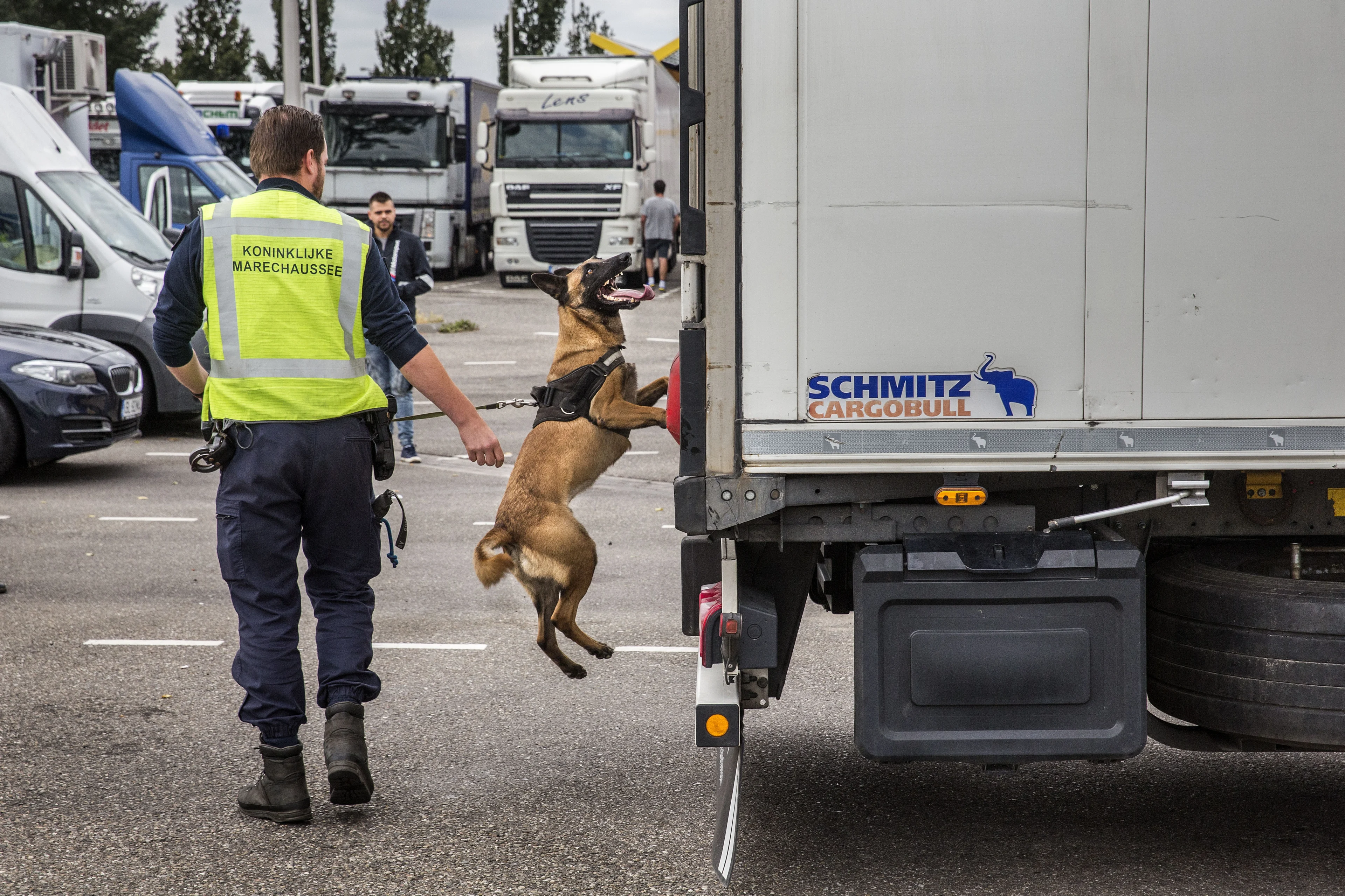 Gezin met 4-jarig meisje ontdekt in trailer bij Hoek van Holland, chauffeur aangehouden