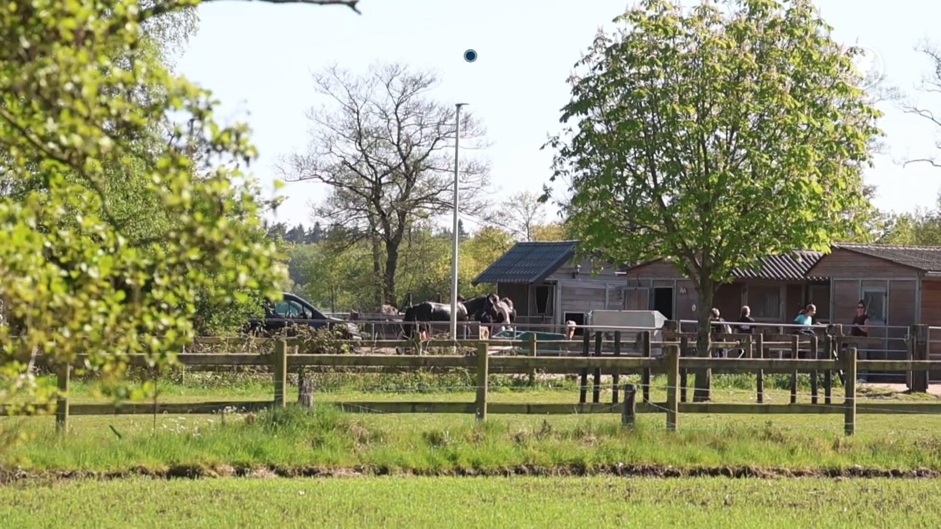 Paard overleden nadat het op hol is geslagen door blaffende hond in Loenen