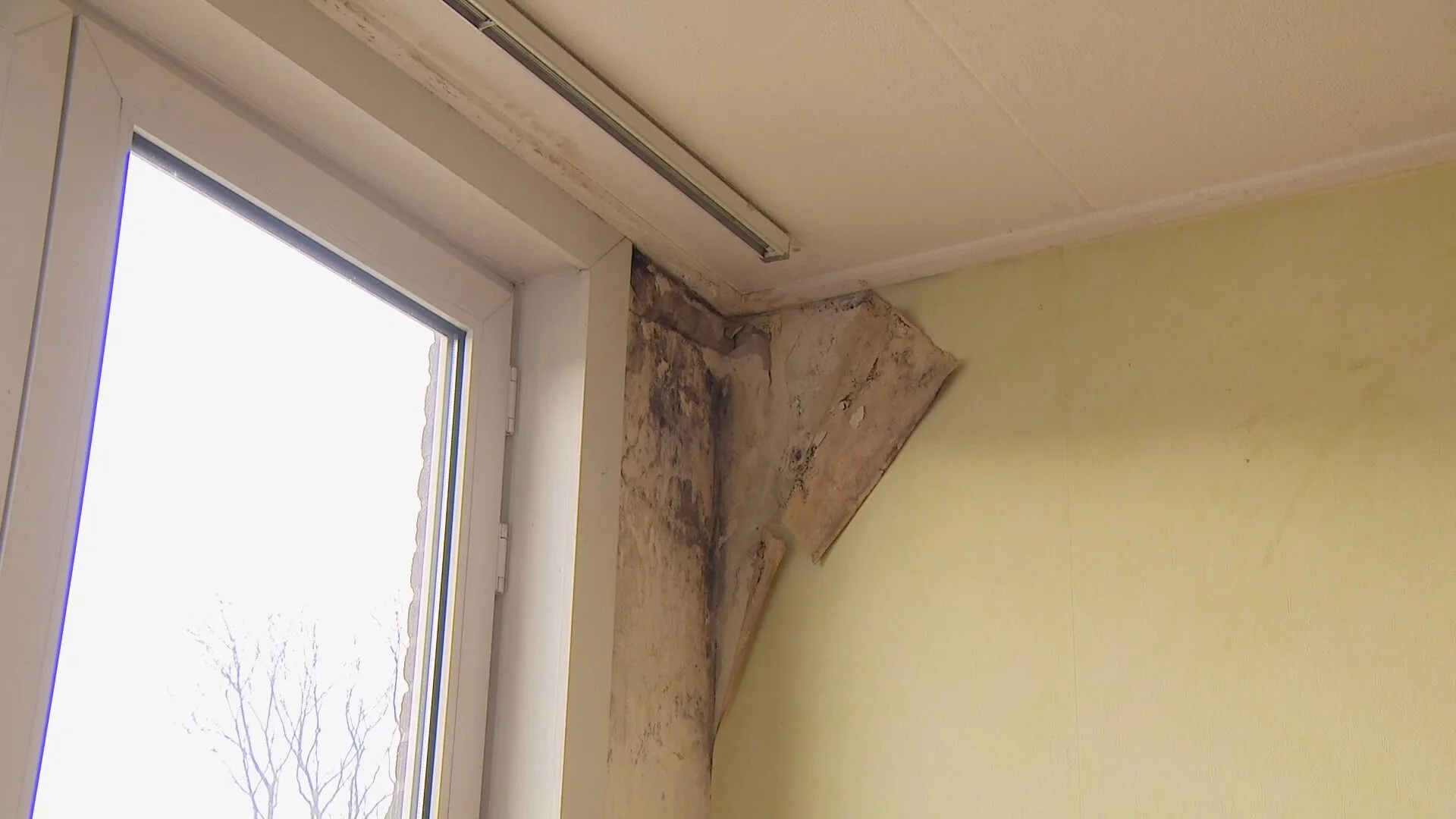 Buurtbewoners in Beverwijk leven al een tijd in erbarmelijke omstandigheden: het is één bak ellende