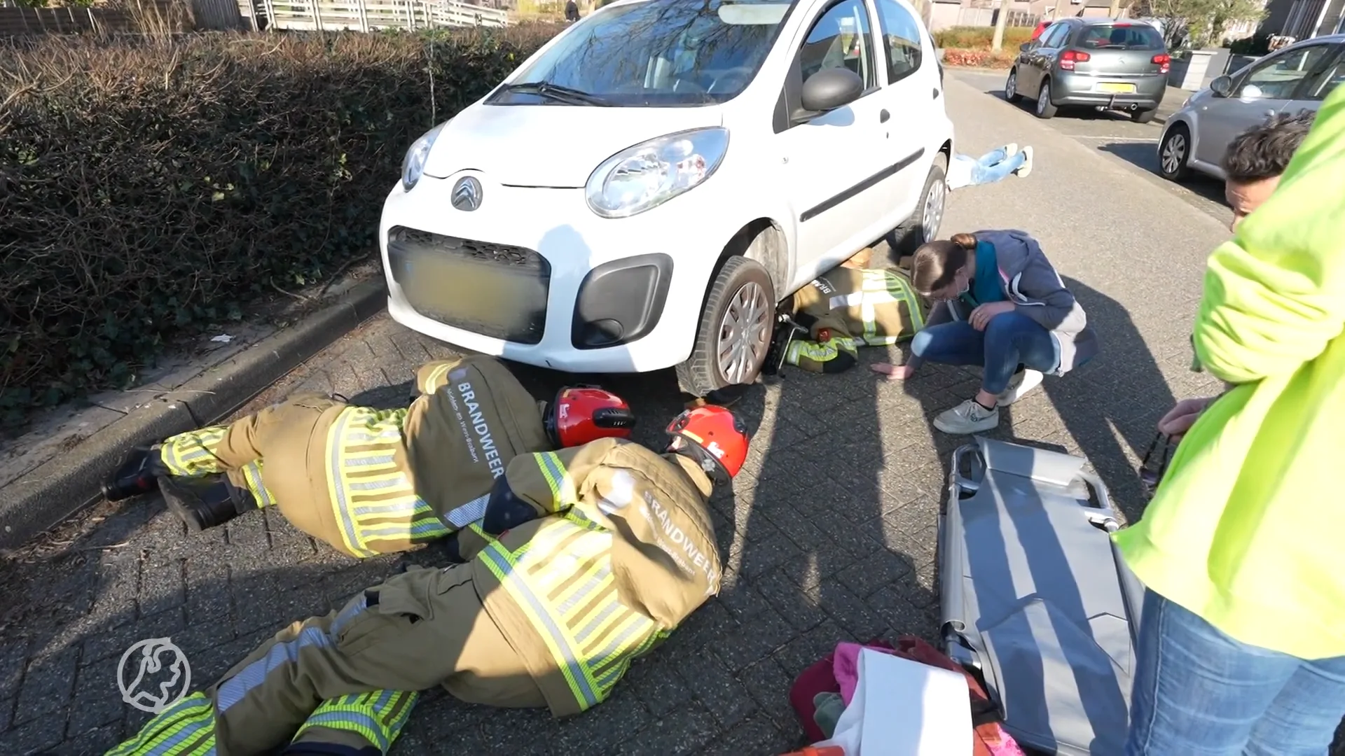 Hond meegesleurd aan achterpootje bij aanrijding in Oosterhout