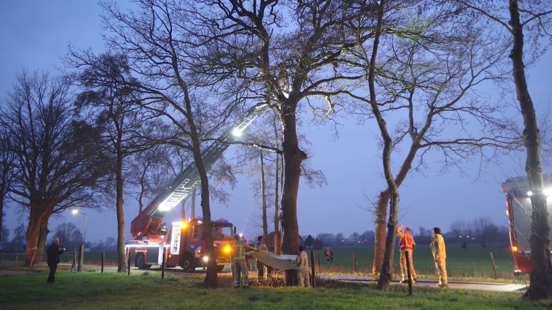 Cat-astrofe voorkomen: Brandweer spuit volhardende kat uit boom