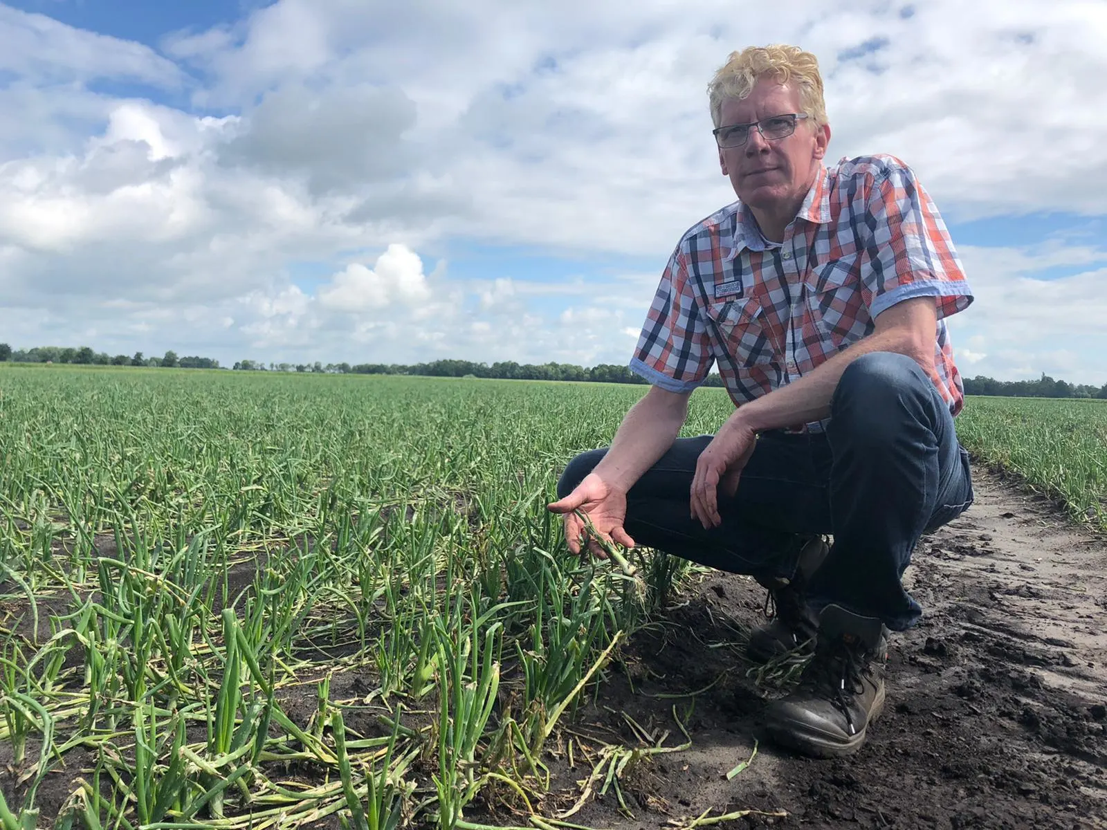 Boeren in grote onzekerheid na felle hagelbui, bijna 100 schademeldingen binnen