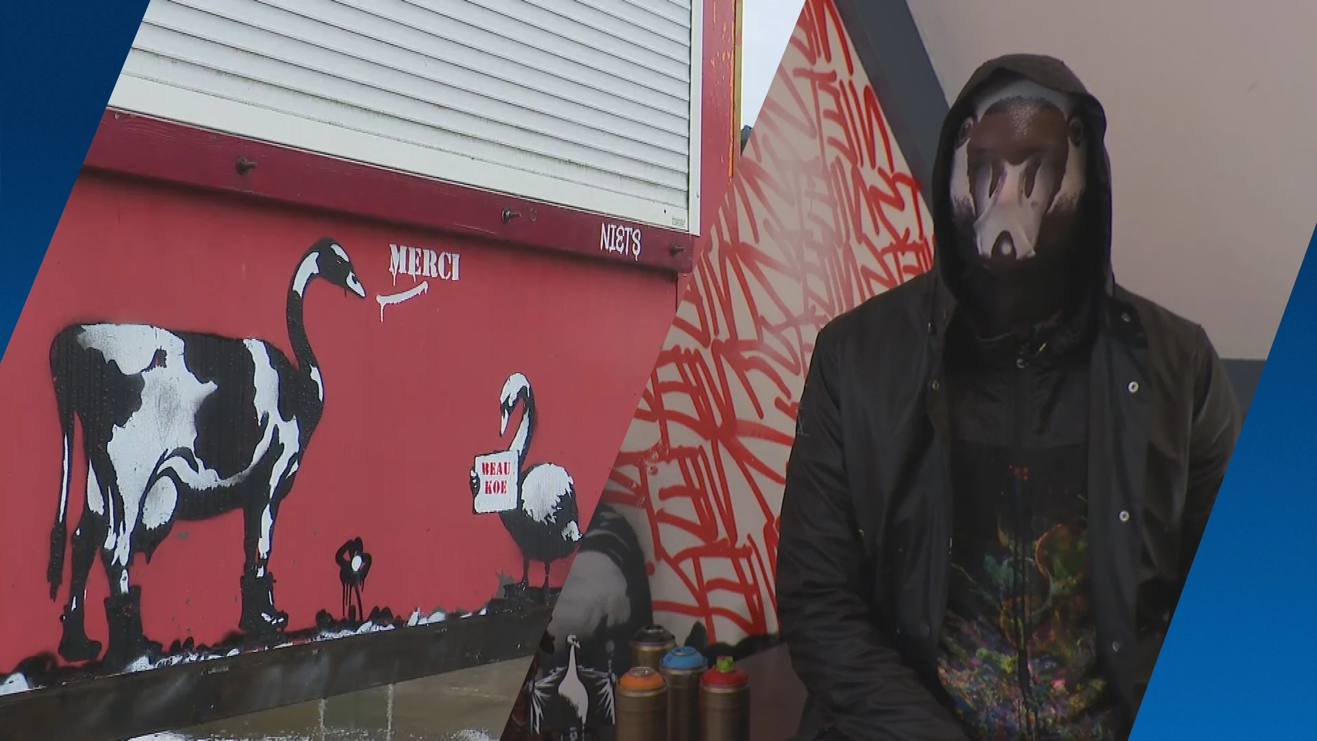 Mysterie in Landsmeer: wie is de gemaskerde kunstenaar achter de graffiti-zwanen?