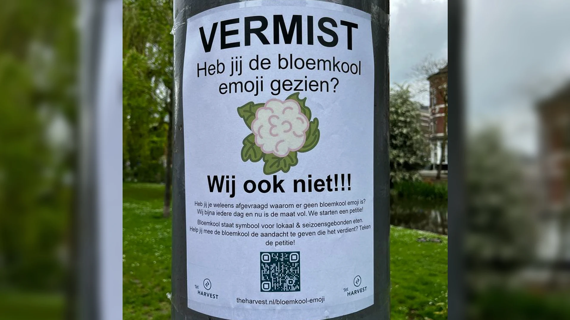 Gerechtigheid voor de bloemkool: petitie voor komst ontbrekende emoji