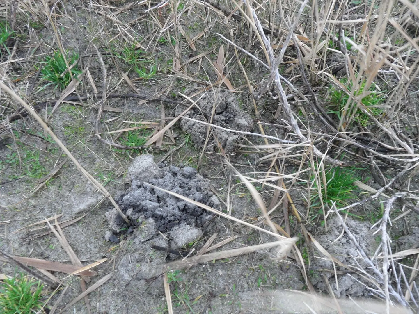 Groot mysterie: Wie is de Mol? op de Marker Wadden