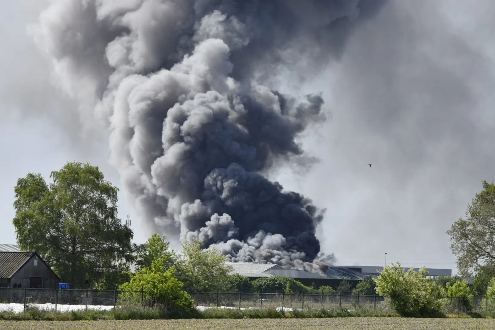 Grote brand bij tuinbouwbedrijf in Grubbenvorst