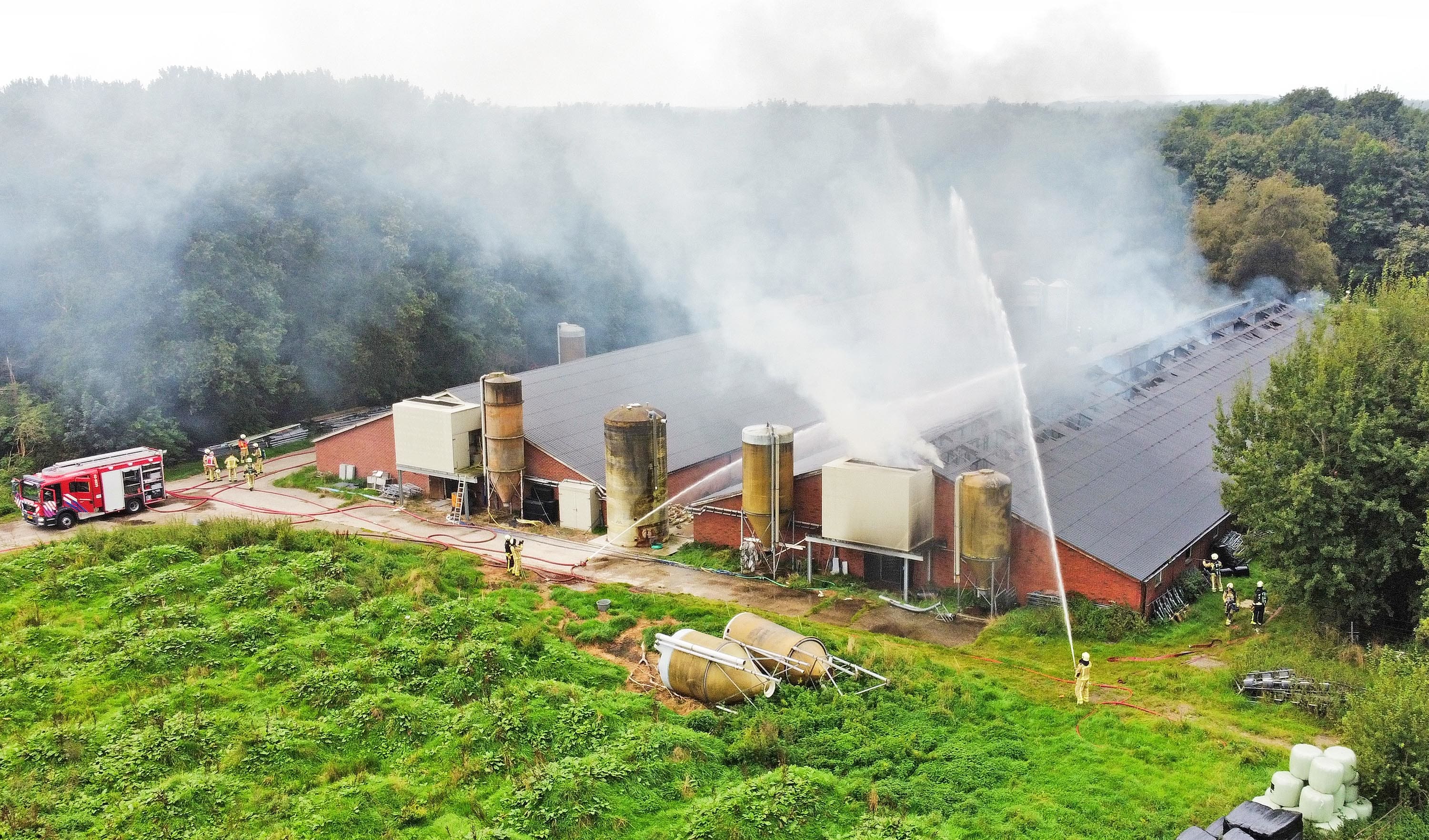 Grote stalbrand in Mantinge kost honderden varkens het leven