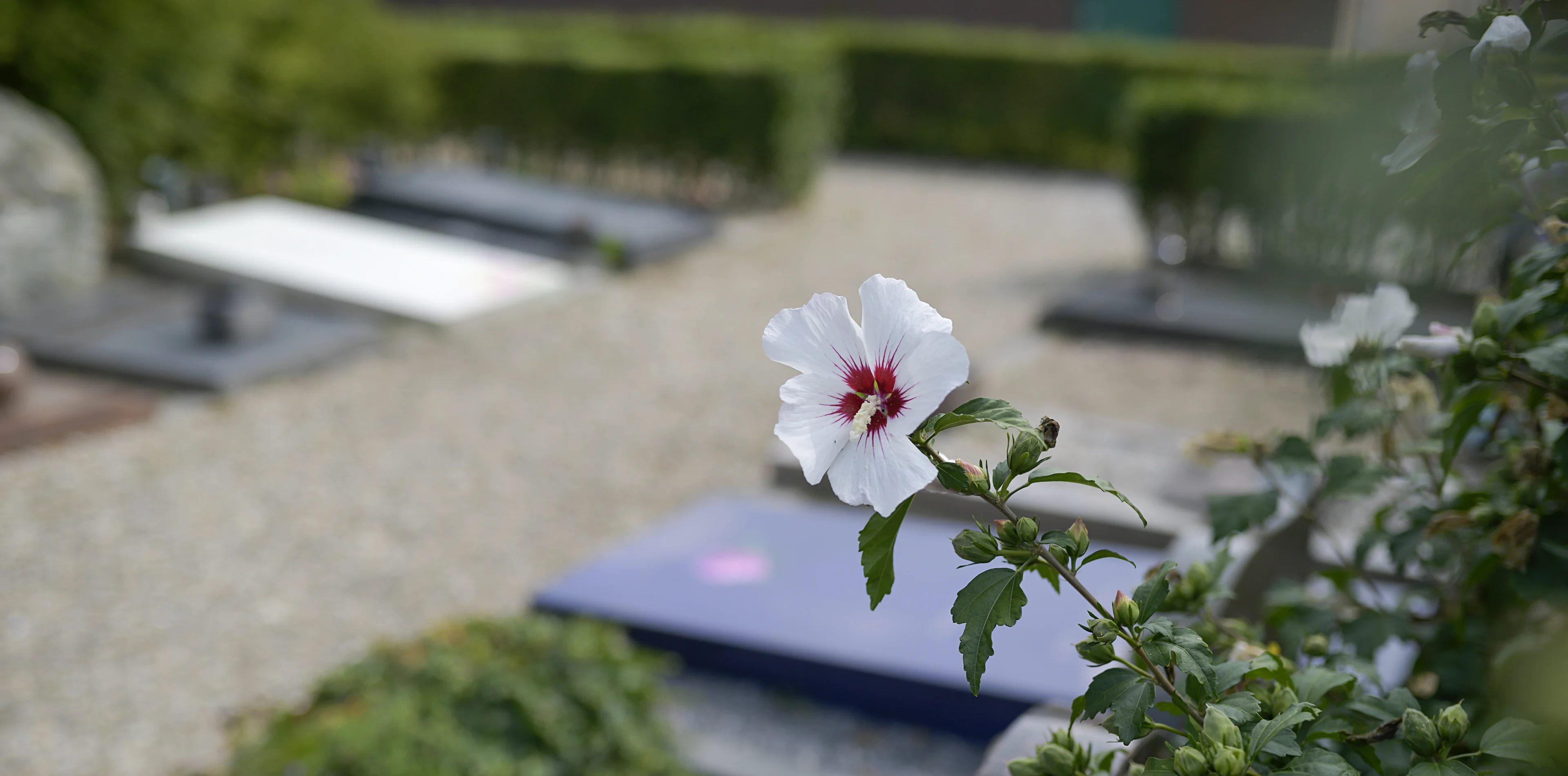 Minder mensen gestorven, ook minder vaak door corona