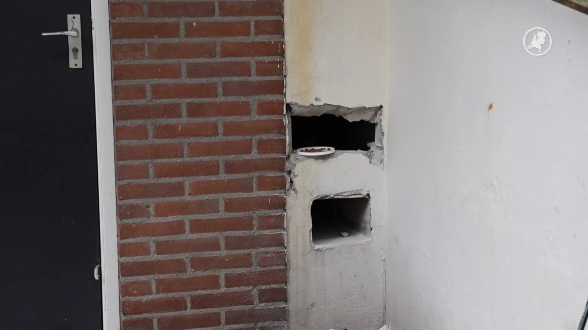 Dagenlang vast in regenpijp: poes Kenya gered door brandweer met gaten in muur