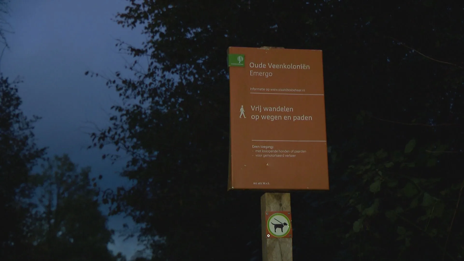 Omwonenden niet blij dat parkeerplaats bij seksbos open moet: 'Hier komen kinderen' 