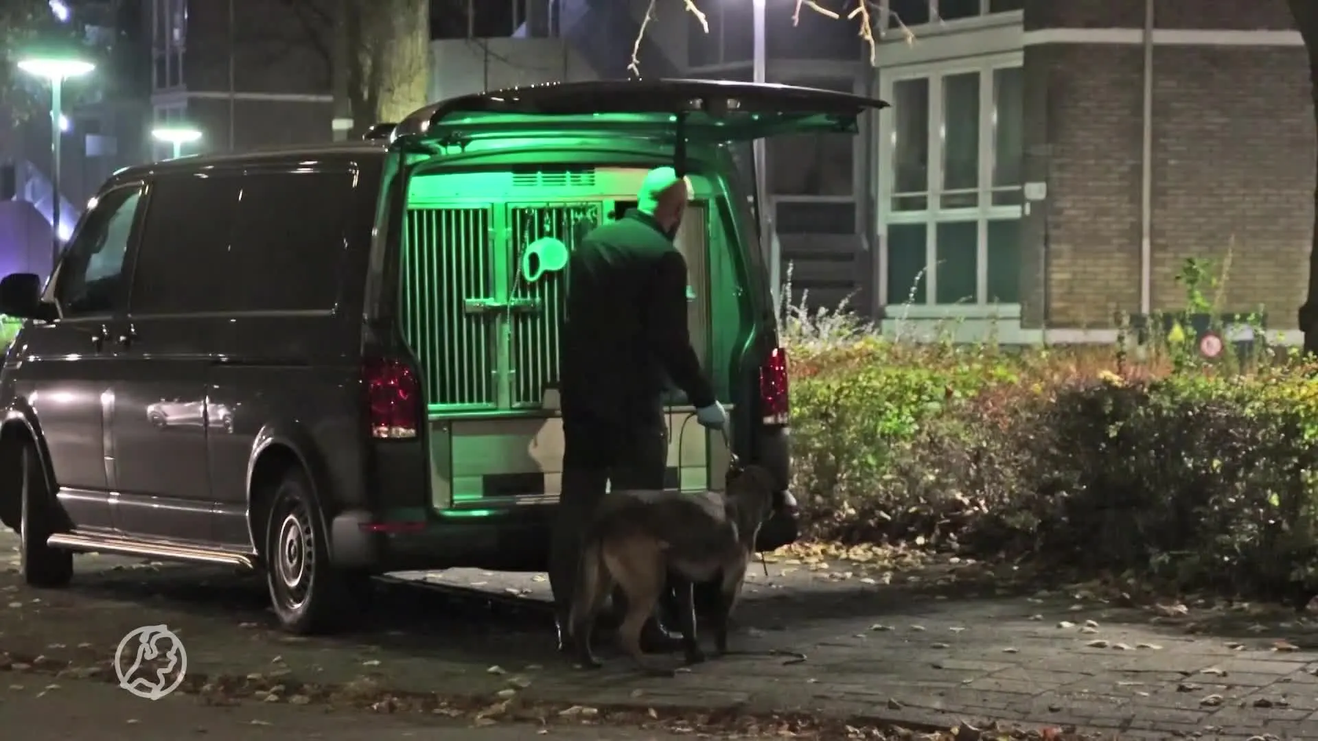 Doorbraak in onderzoek moord op Daan Mellée: man (38) aangehouden