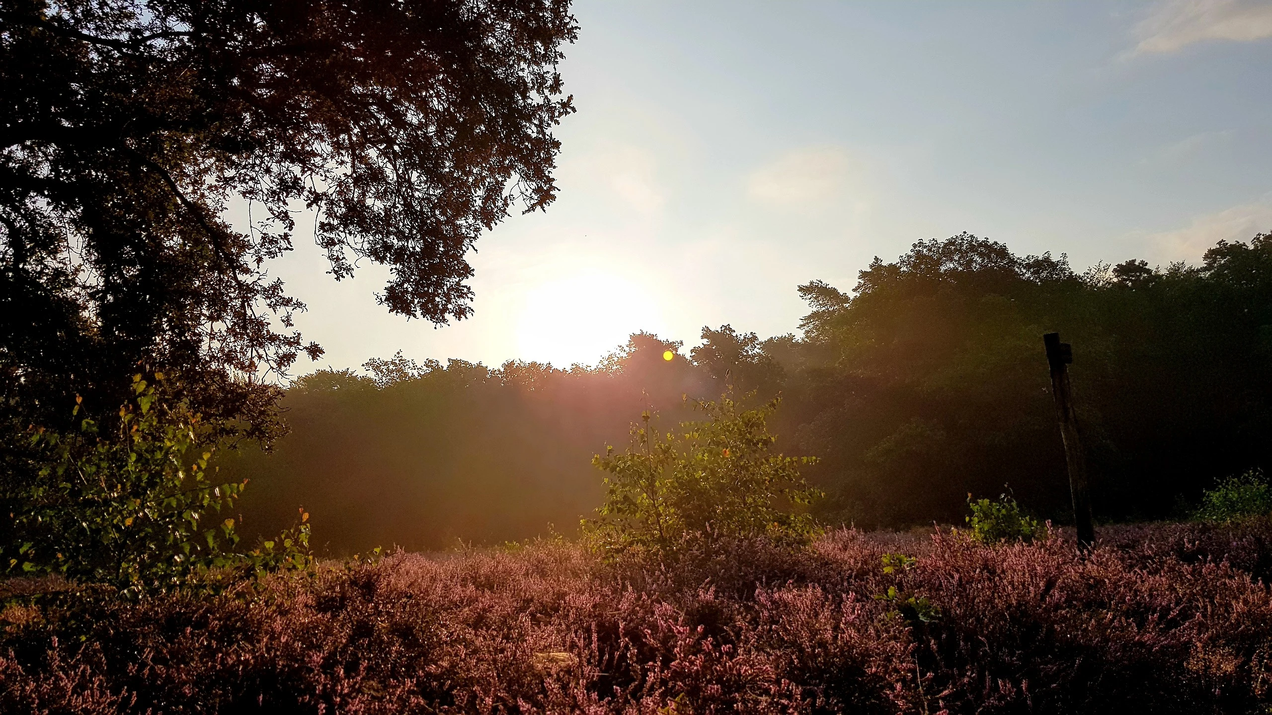Hemelvaart begint zonnig maar heeft bewolkt einde
