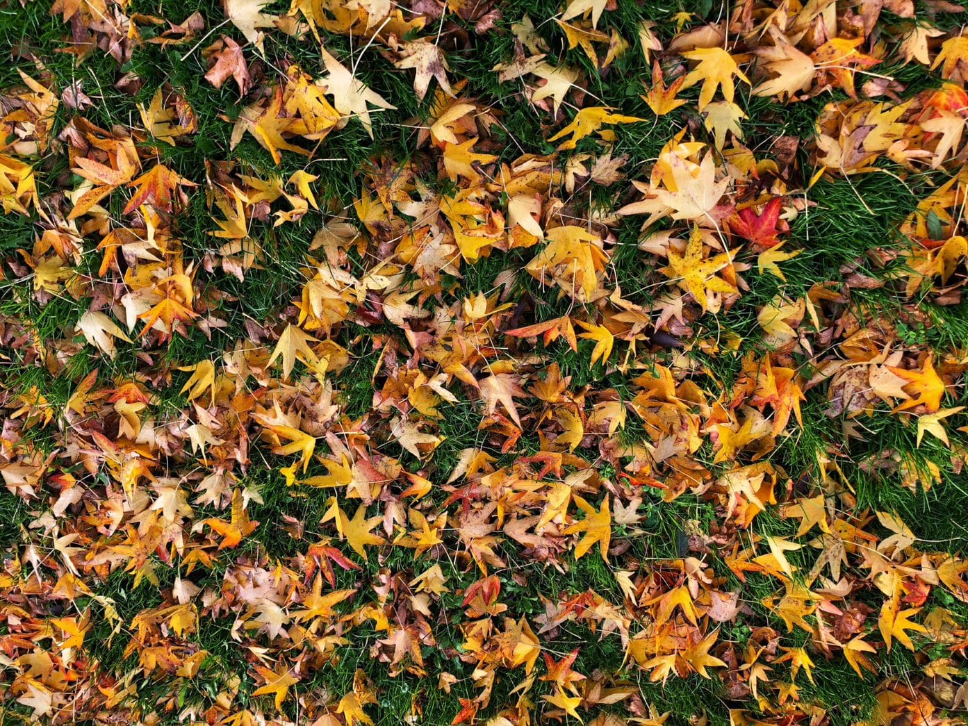 Rustige herfstdag met ruimte voor de zon in het vooruitzicht