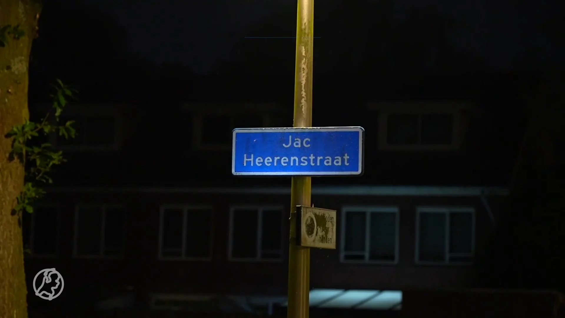 Serval ontsnapt in Helmondse wijk, politie stuurt waarschuwing uit