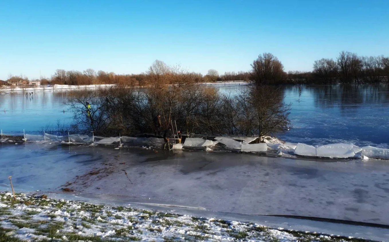 Hertjes de dood ingejaagd door schaatsers in afgesloten gebied Rheden