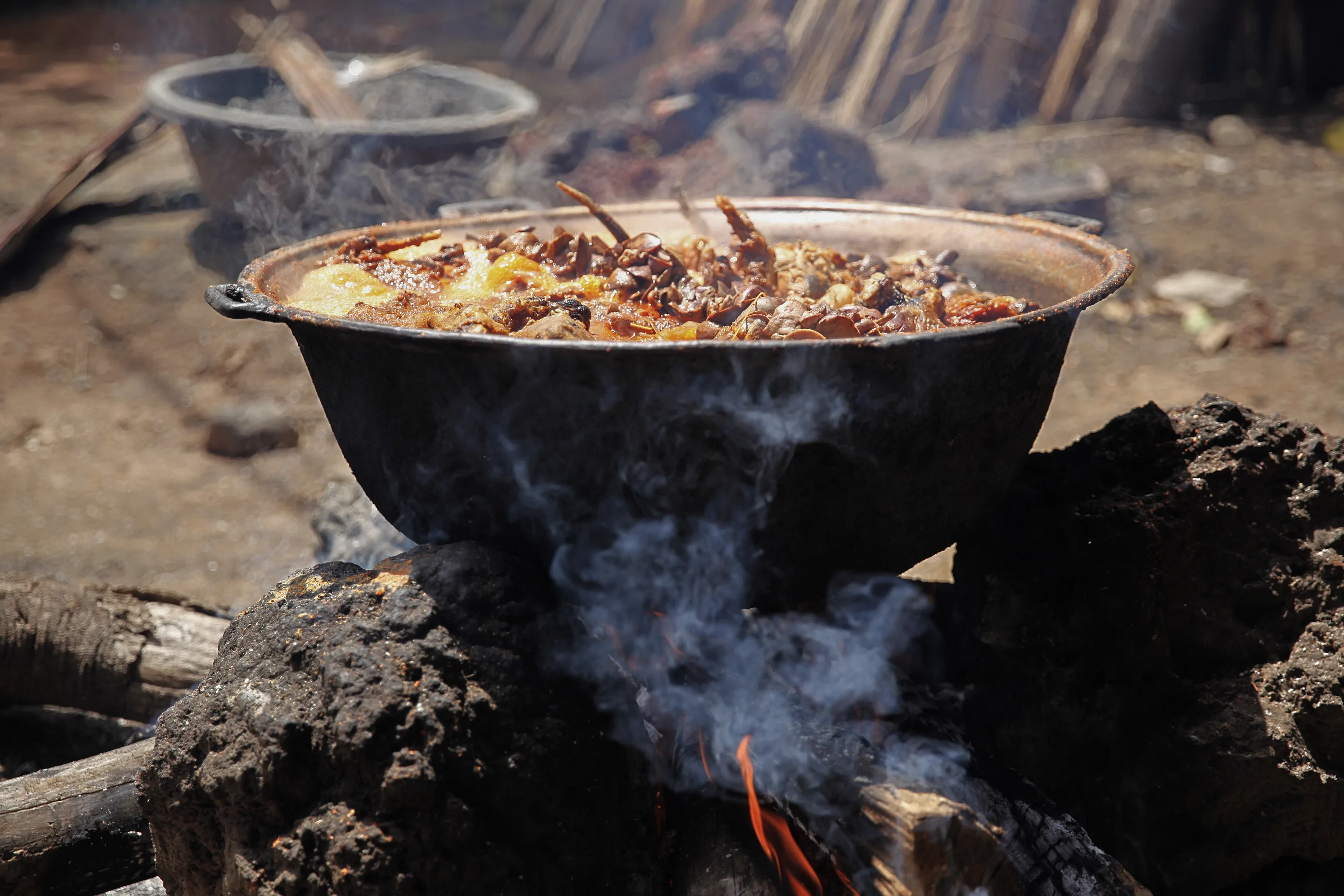 Stichting AAP wil strengere regels op vlees van exotische dieren in Nederland