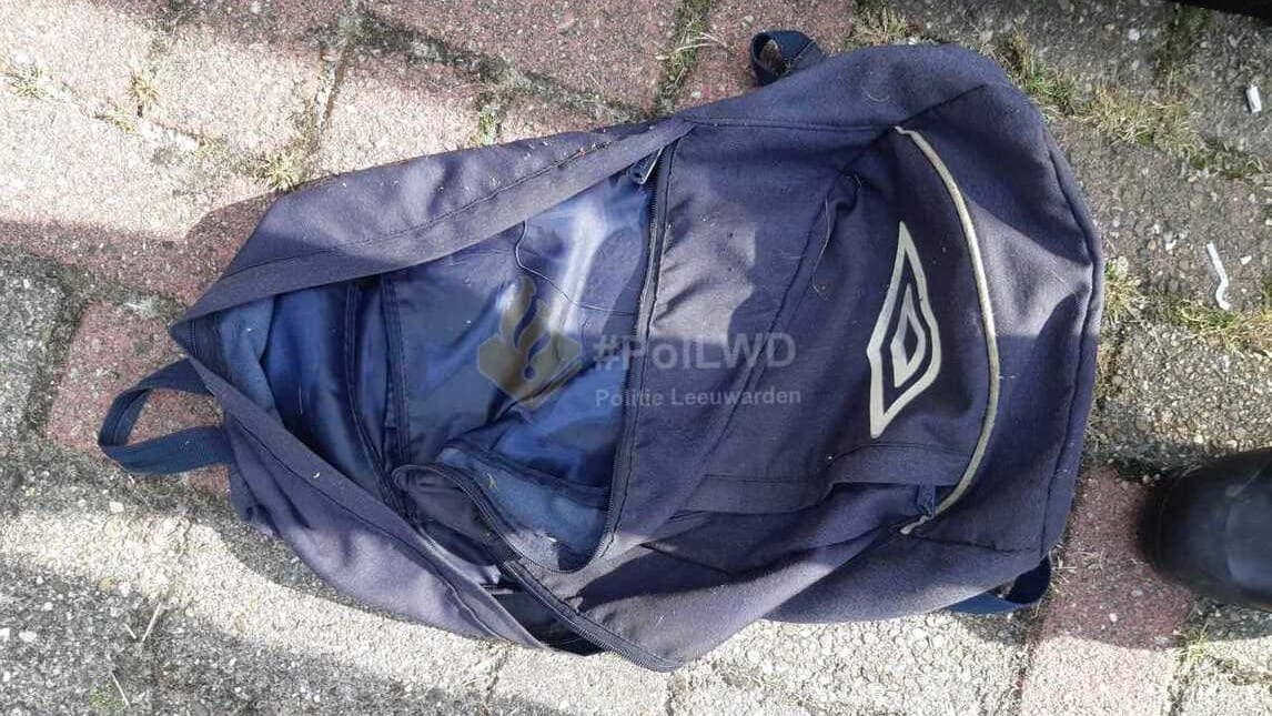 Opvarenden in Leeuwarden vinden dode hoogzwangere poes in rugzak