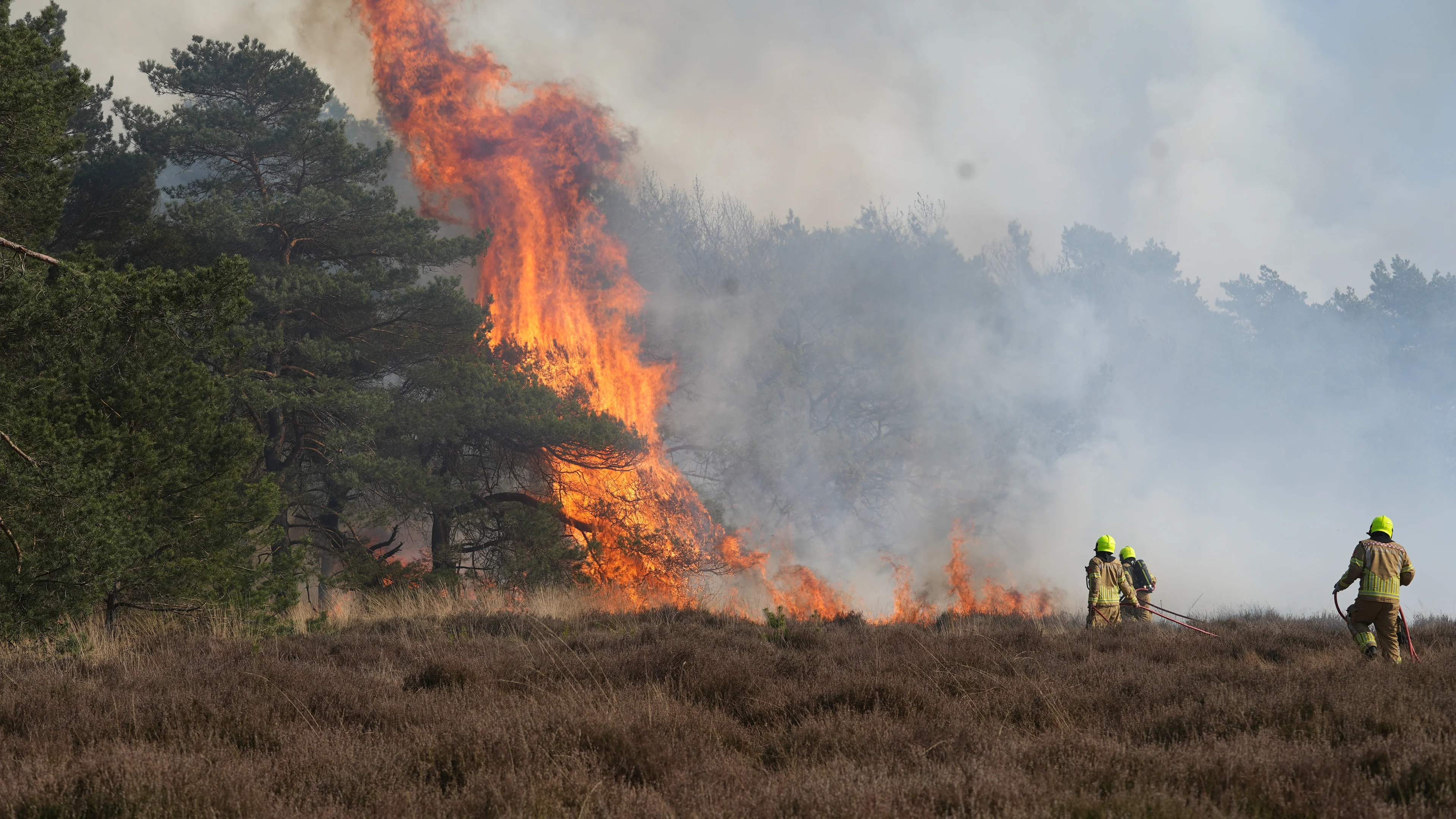 Groter risico op natuurbranden door warm weer: hier is de kans het grootst