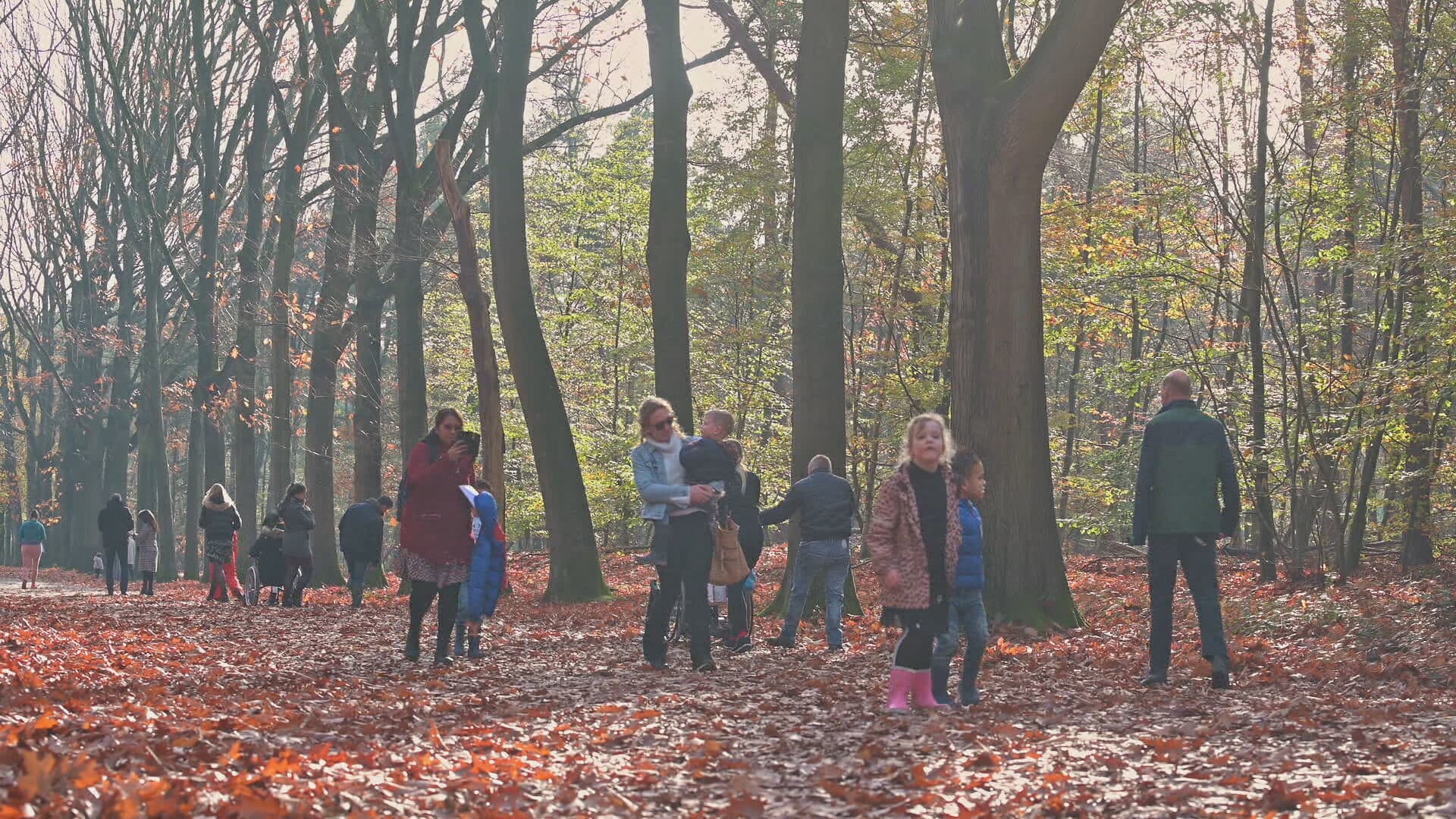 Massaal de natuur in: code rood voor tien Brabantse natuurgebieden