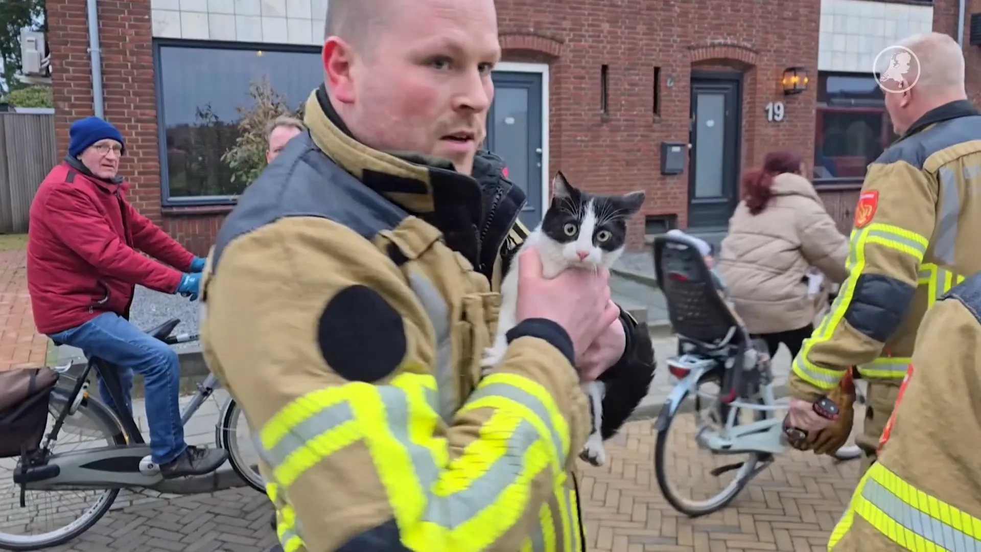 Kat lift mee onder motorkap, brandweer weet beestje te redden