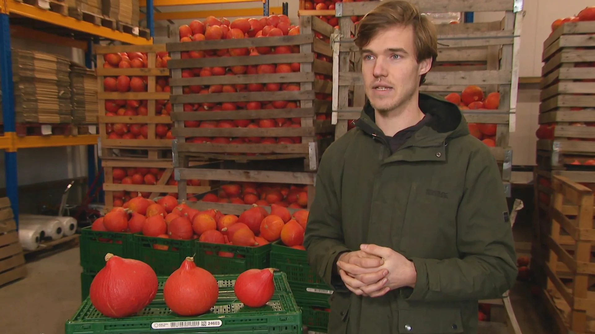 Te klein, te groot of misvormd: pompoenverkoper Ivar strijdt tegen voedselverspilling
