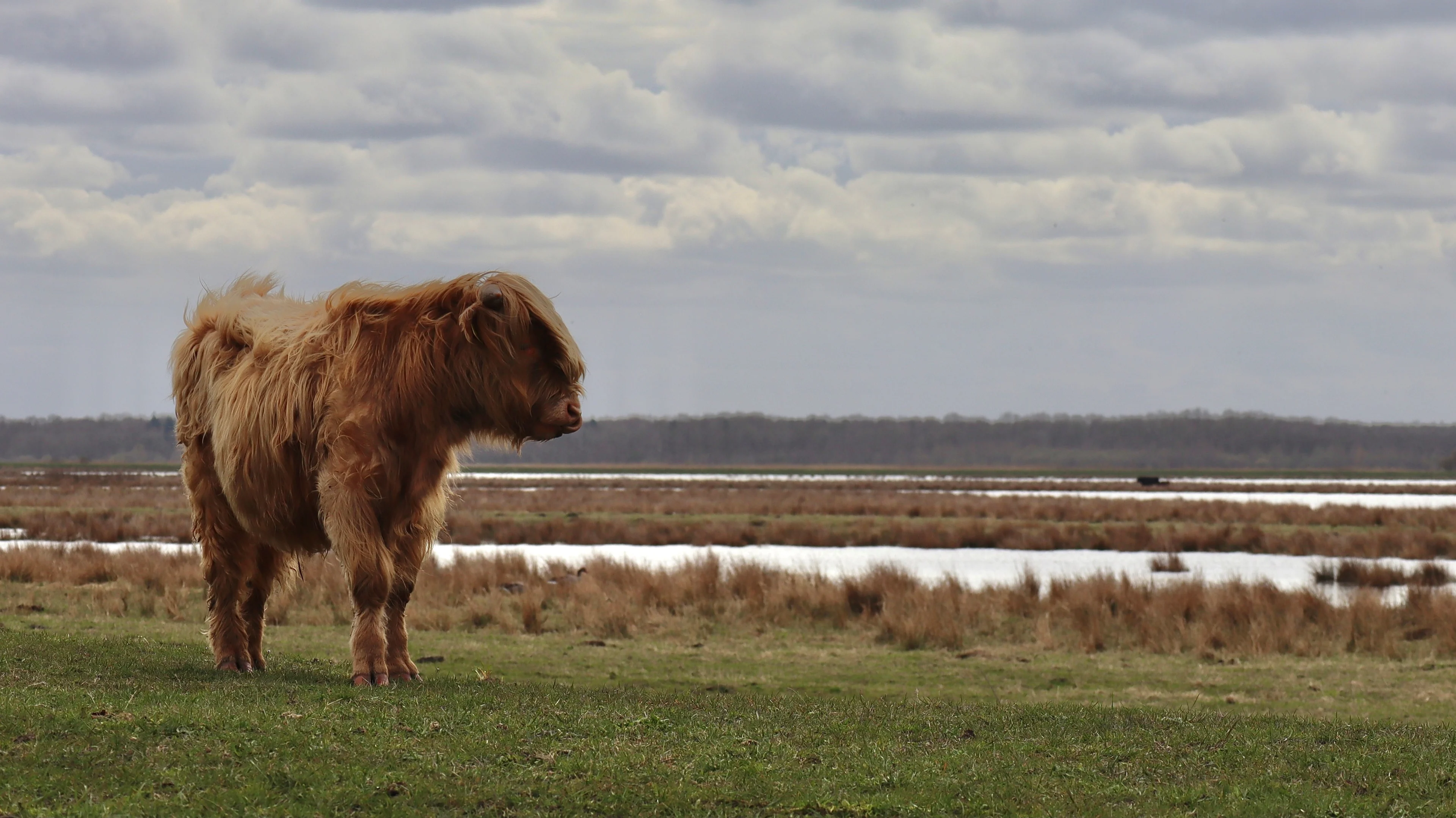 Overdag al fris? Wacht maar tot vannacht... de vorst keert terug!