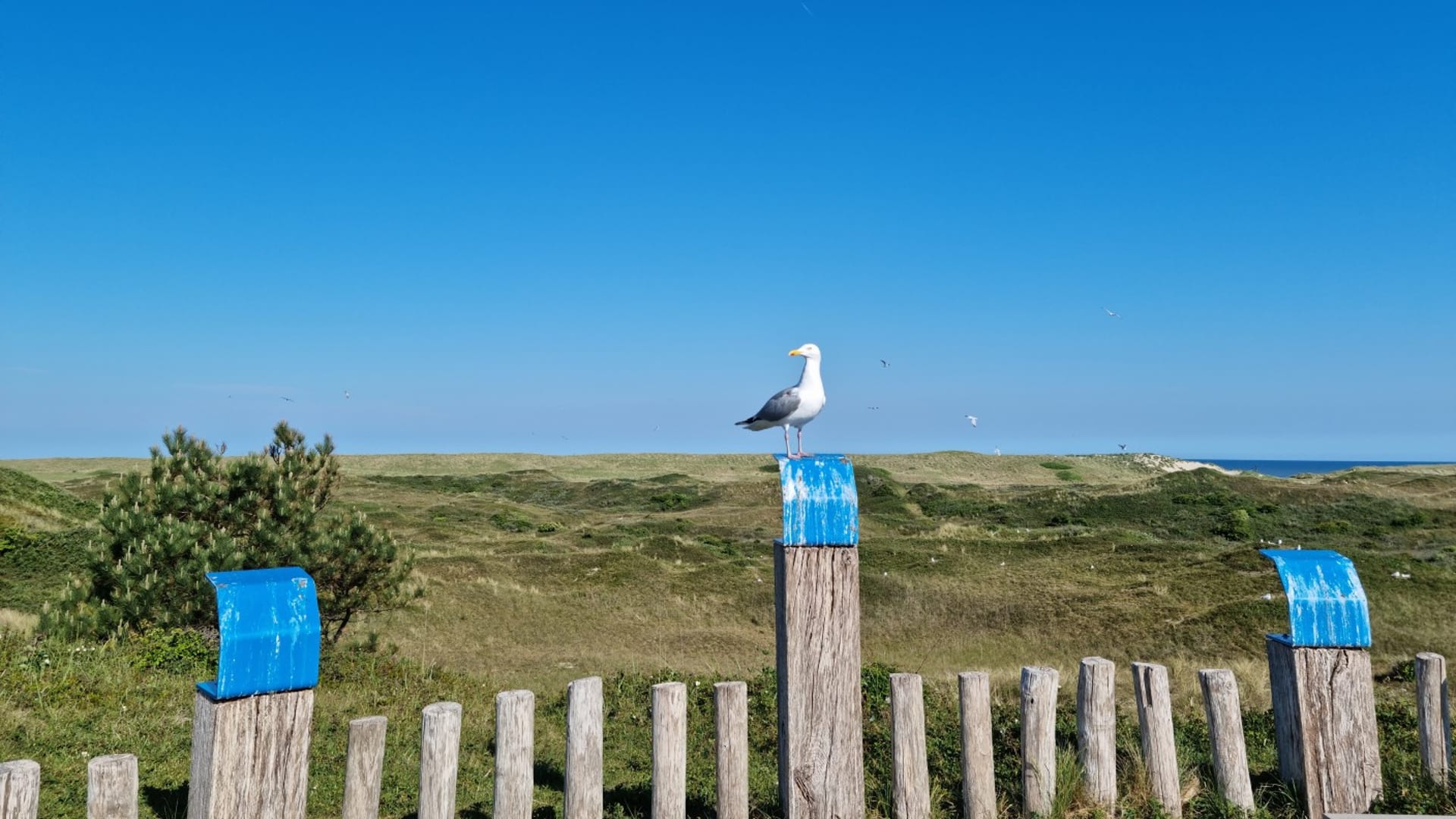 Vandaag nog zonnig, maar met Pinksteren slaat het weer om