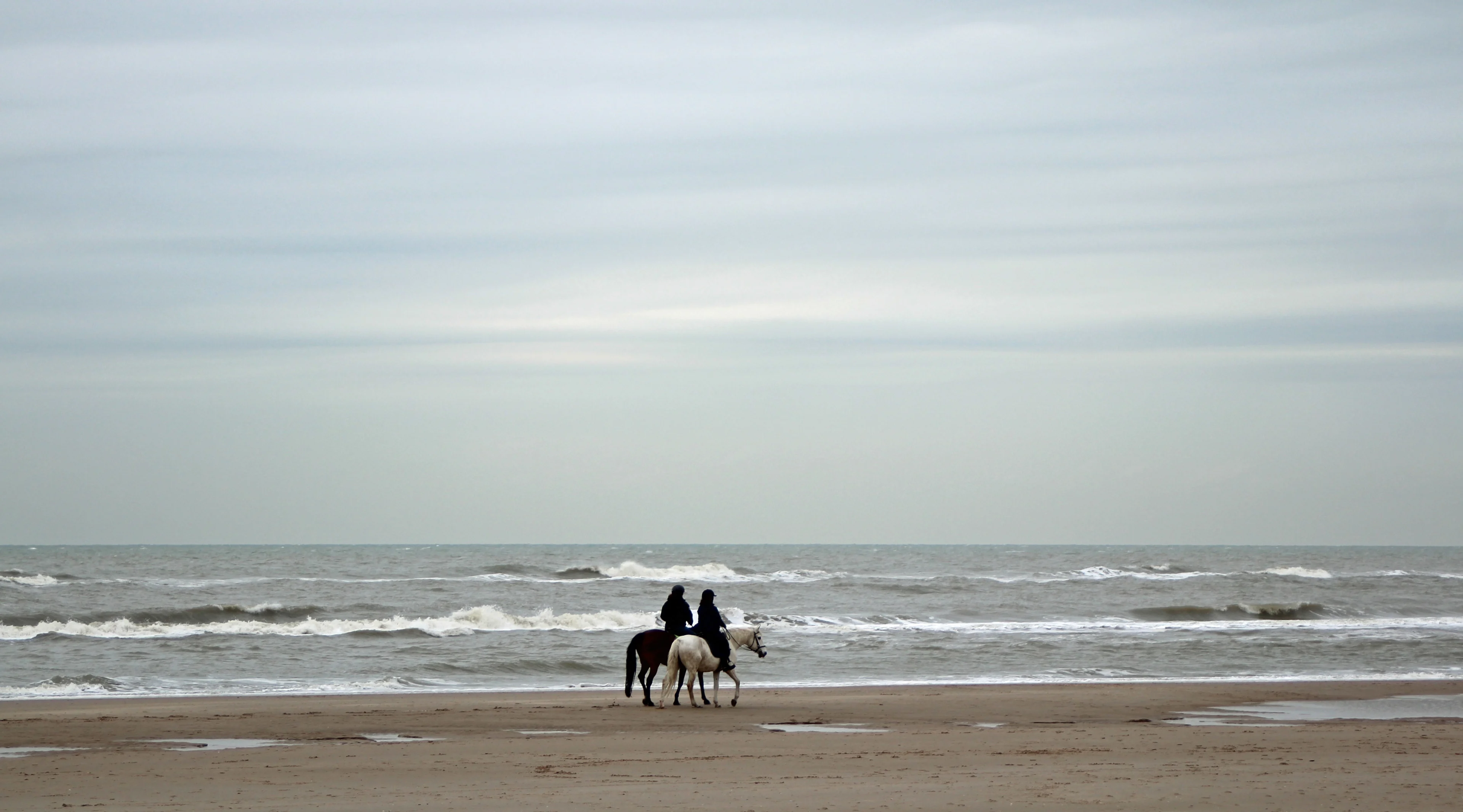 Grijs weer met lichte regen, vanmiddag zo goed als droog