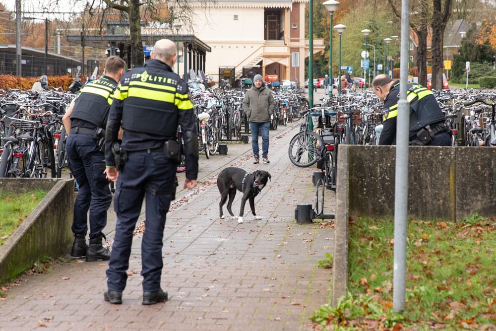 Jonge hond Dyson rent treinspoor op en zet Baarn op stelten