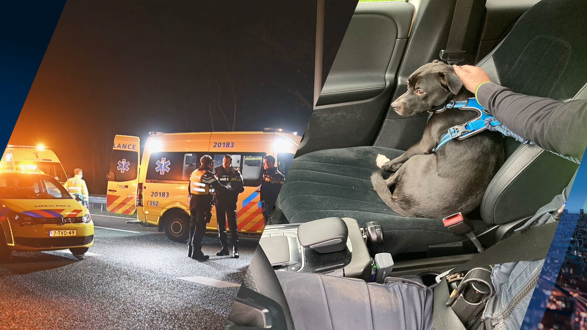 Dode bij snelwegongeval A58 blijkt Duitser (39), hond inmiddels terecht