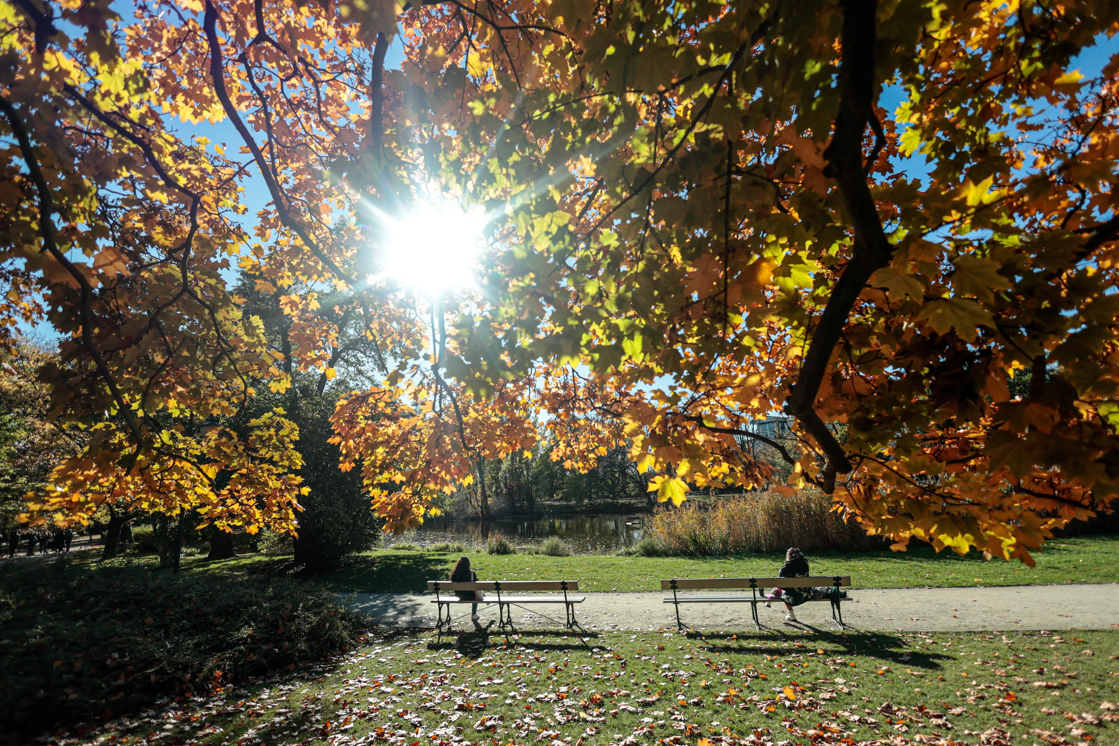 18 graden in november? Dit is waarom het zó zacht is