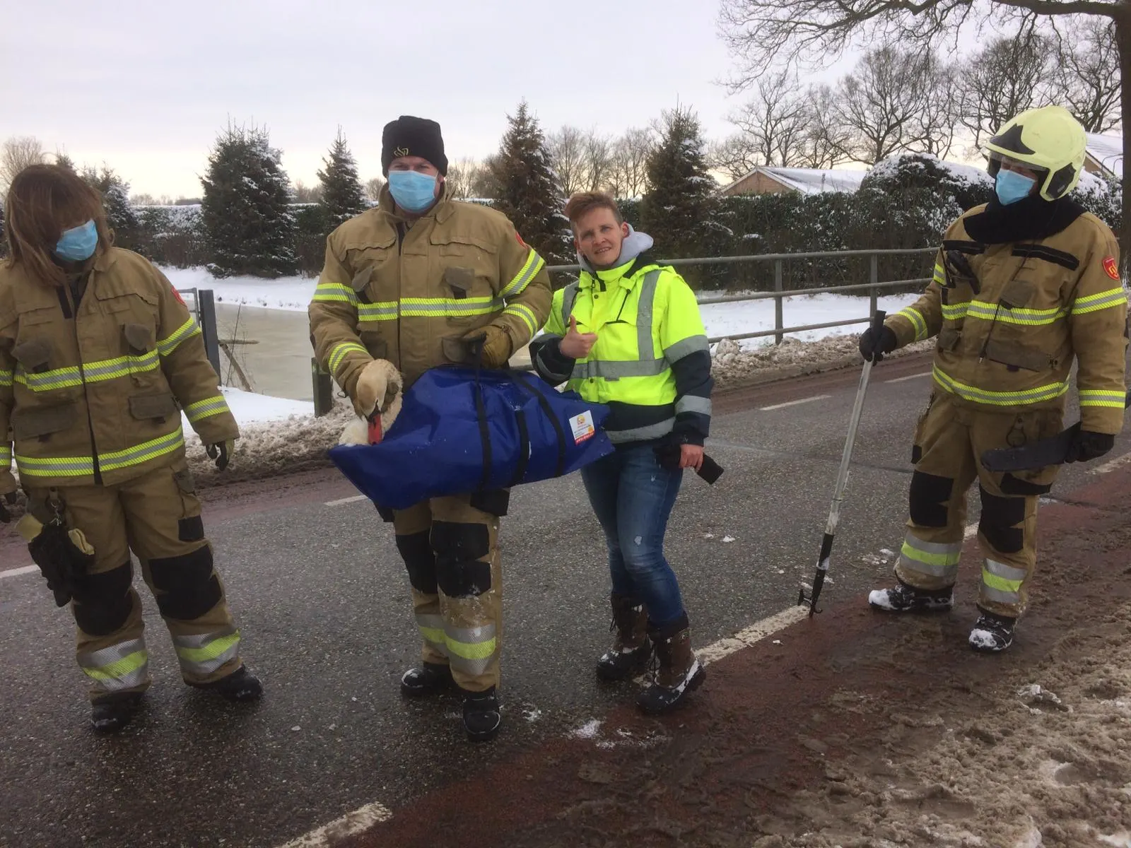 Dierenambulance redt twee vastgevroren zwanen in Brabant