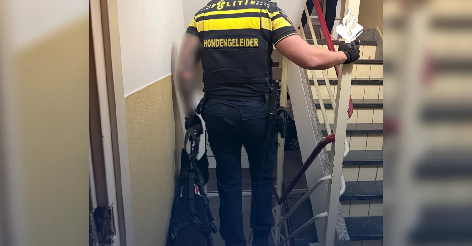 Man probeert diensthond Djayro te wurgen bij aanhouding Rotterdam