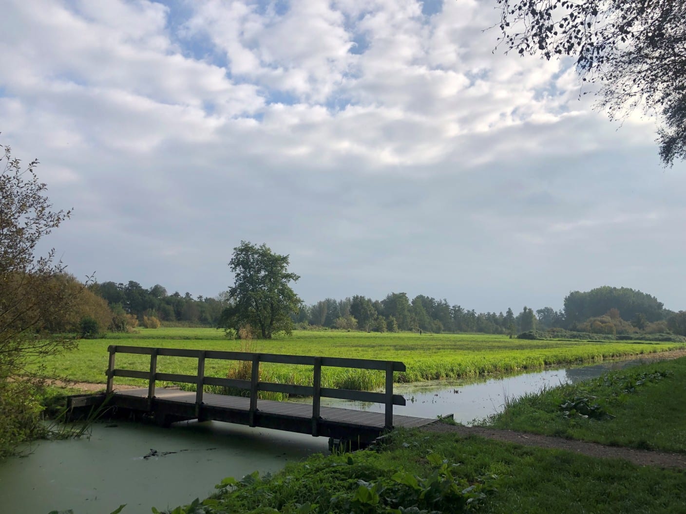 Grijze herfstdag, maar later op steeds meer plekken zon